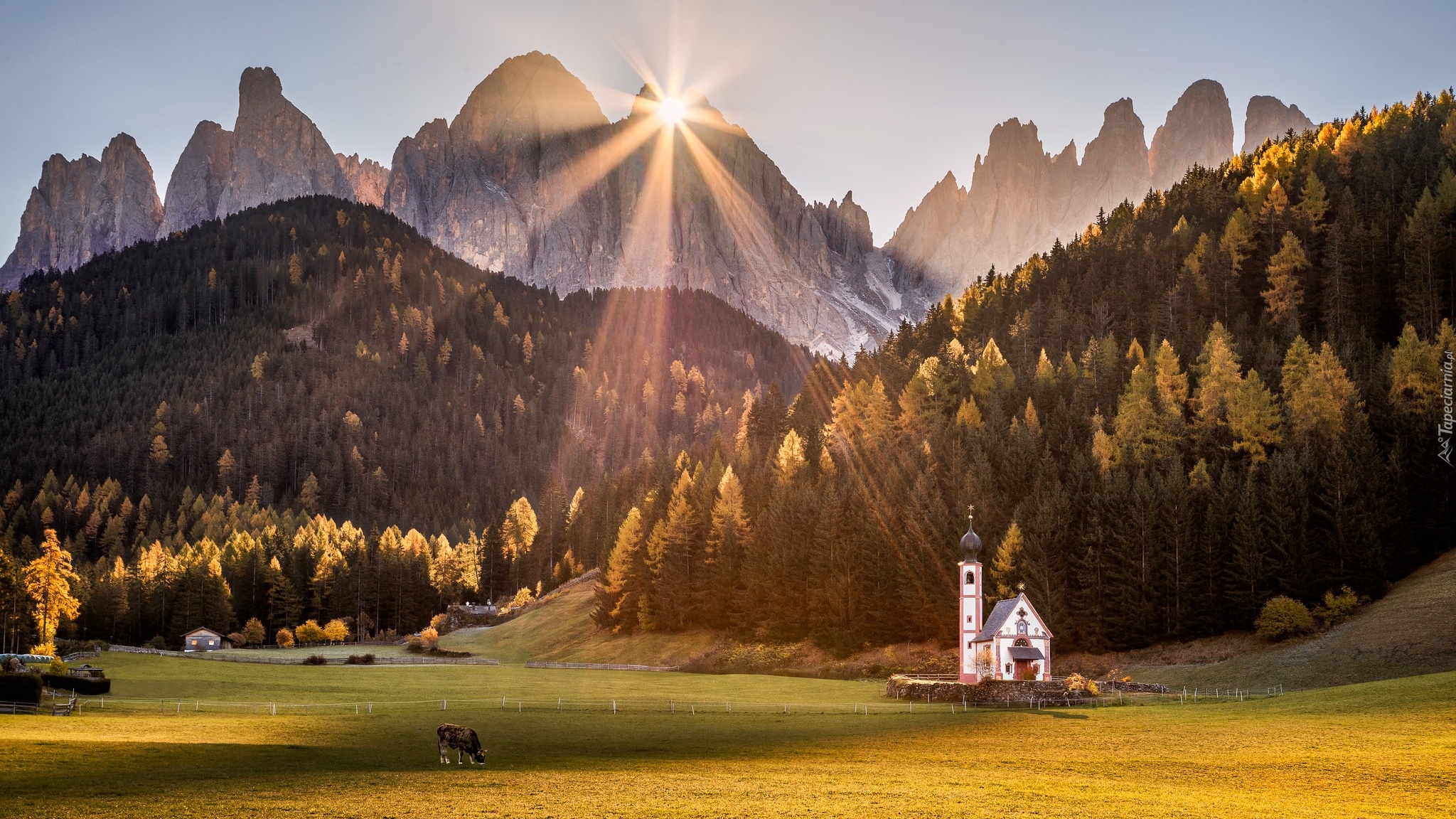 Włochy, Południowy Tyrol, Góry, Dolomity, Kościół św Jana, Wieś, Santa Maddalena, Dolina Val di Funes, Drzewa, Trawa, Promienie słońca