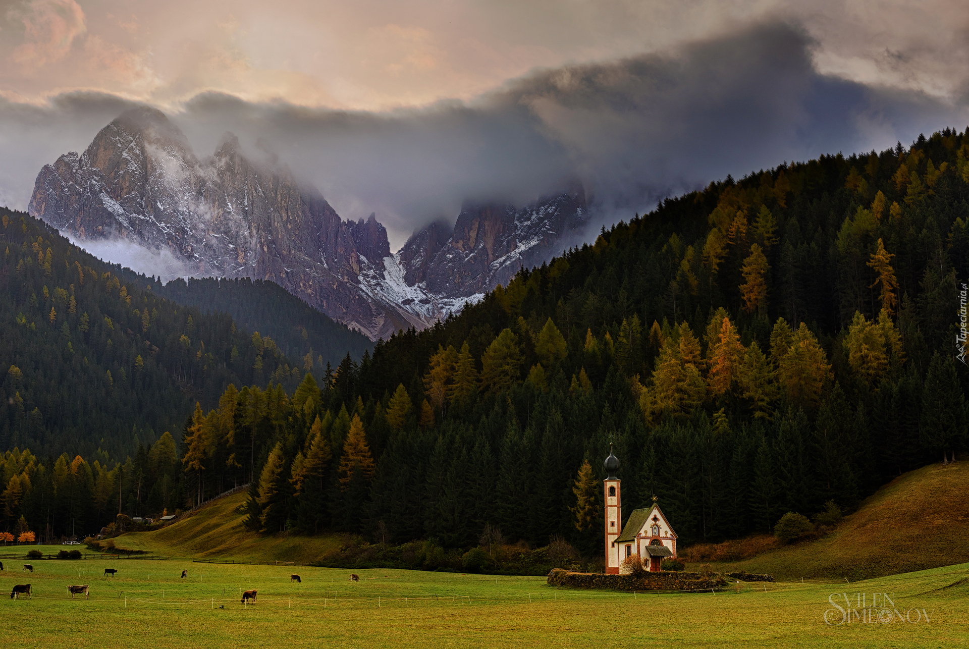 Dolina Val di Funes, Kościół św. Jana, Lasy, Góry, Dolomity, Włochy