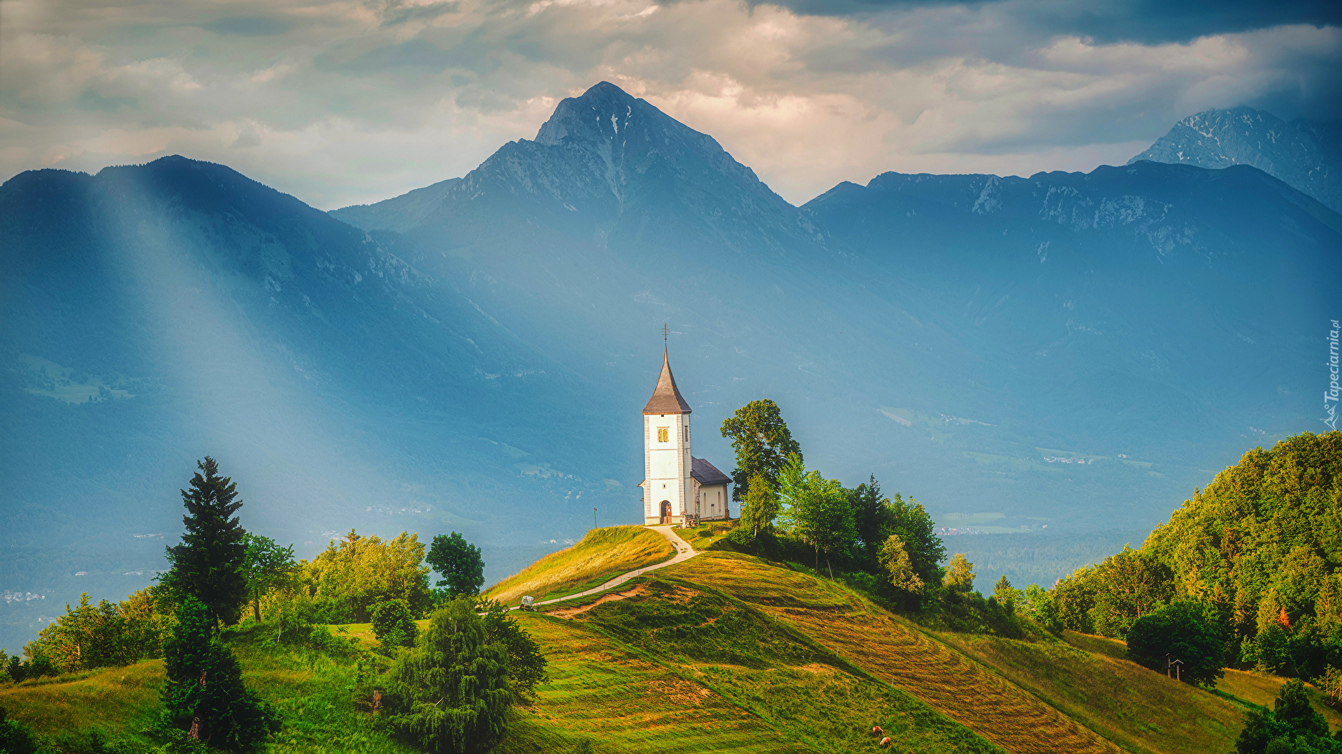 Słowenia, Wieś Jamnik, Góry, Alpy, Promienie słoneczne, Wzgórza, Kościół, Drzewa