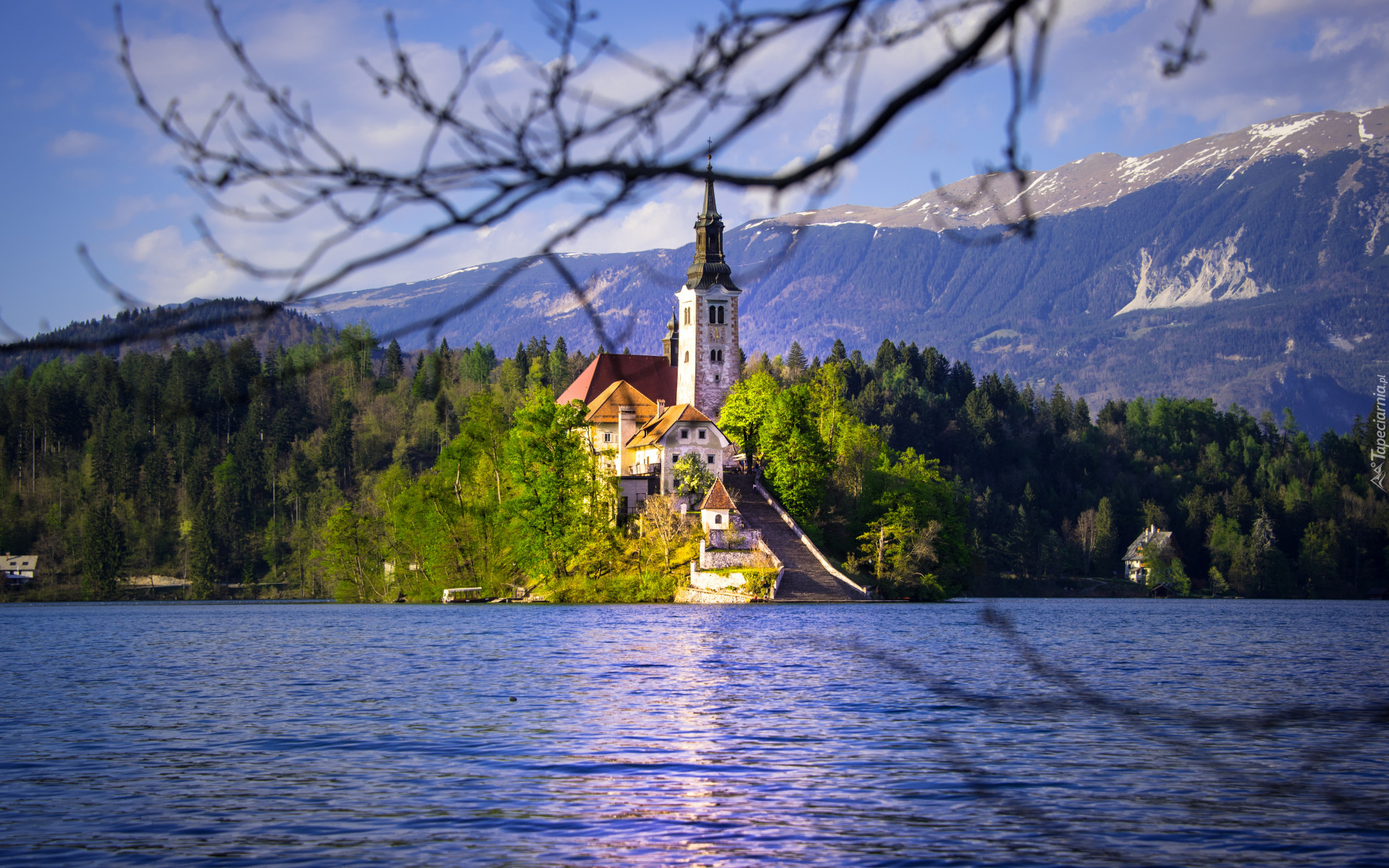 Jezioro Bled, Wyspa, Kościół Wniebowzięcia Najświętszej Marii Panny, Góry, Lasy, Drzewa, Słowenia