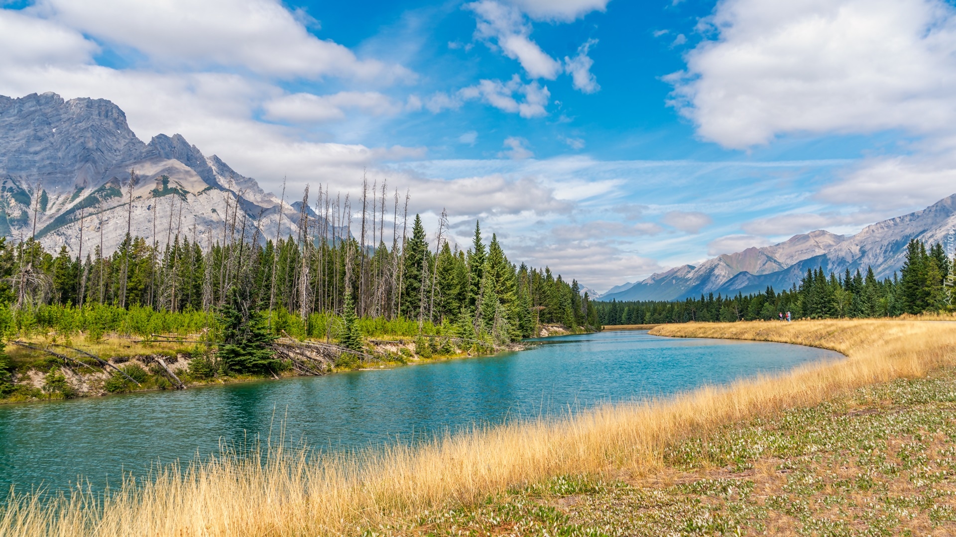 Góry, Rzeka, Las, Chmury, Park Narodowy Banff, Alberta, Kanada
