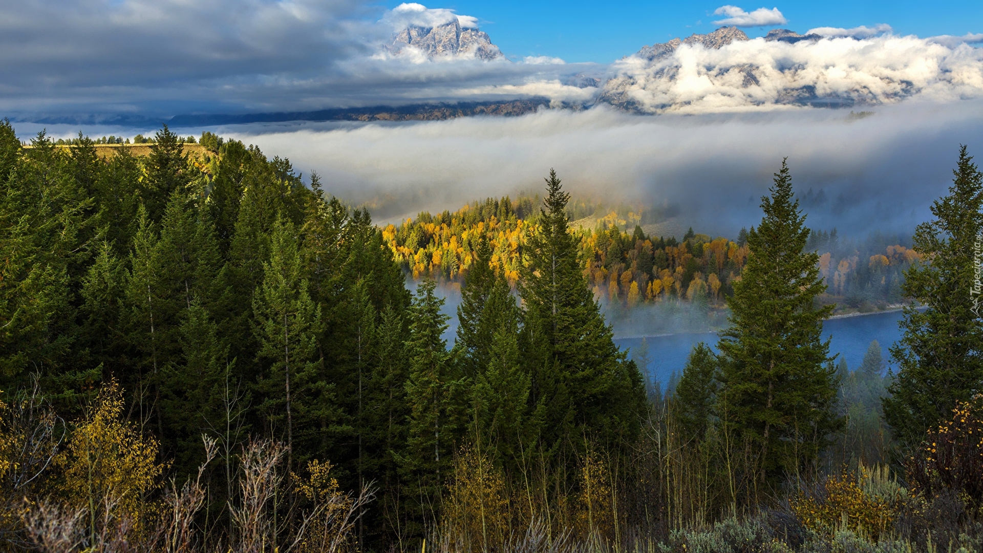 Jesień, Las, Góry, Drzewa, Świerki, Mgła, Krajobraz, Park Narodowy Grand Teton, Stan Wyoming, Stany Zjednoczone