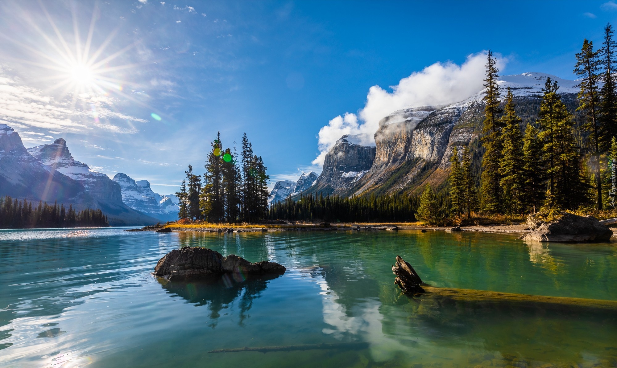 Kanada, Prowincja Alberta, Park Narodowy Jasper, Góry, Jezioro Maligne, Drzewa