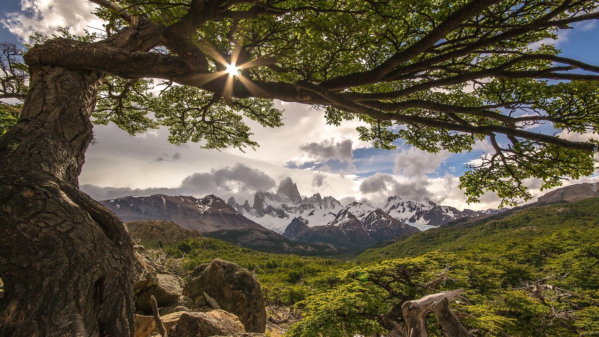 Argentyna, Patagonia, Park Narodowy Los Glaciares, Andy, Góra Fitz Roy, El Chalten, Góry, Drzewo, Promienie słońca, Chmury