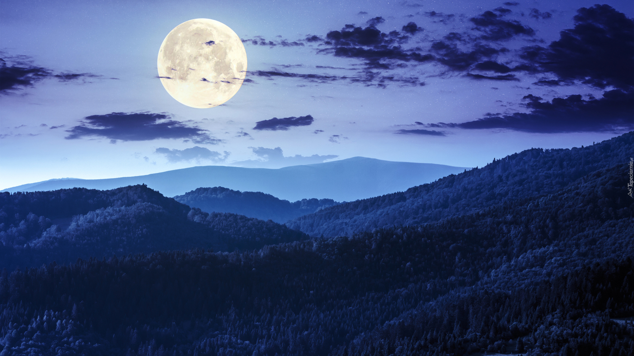 Noc, Księżyc, Chmury, Góry, Las