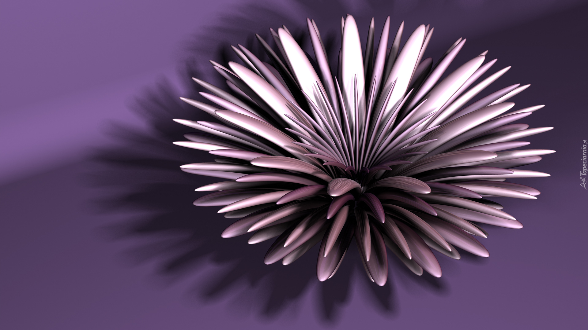 Grafika 3D, Kwiat, Fioletowe tło