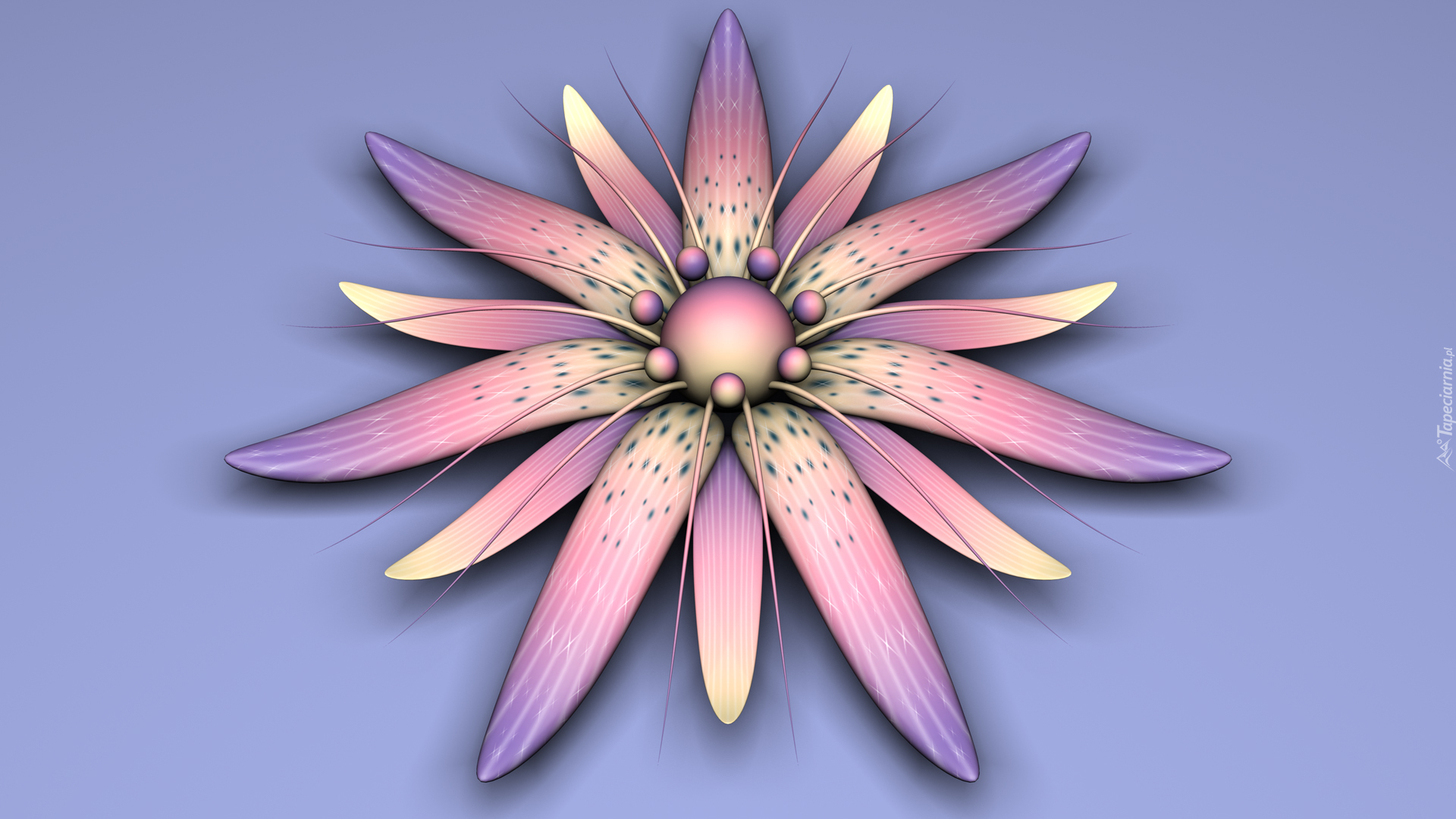Grafika 3D, Różowo-fioletowy