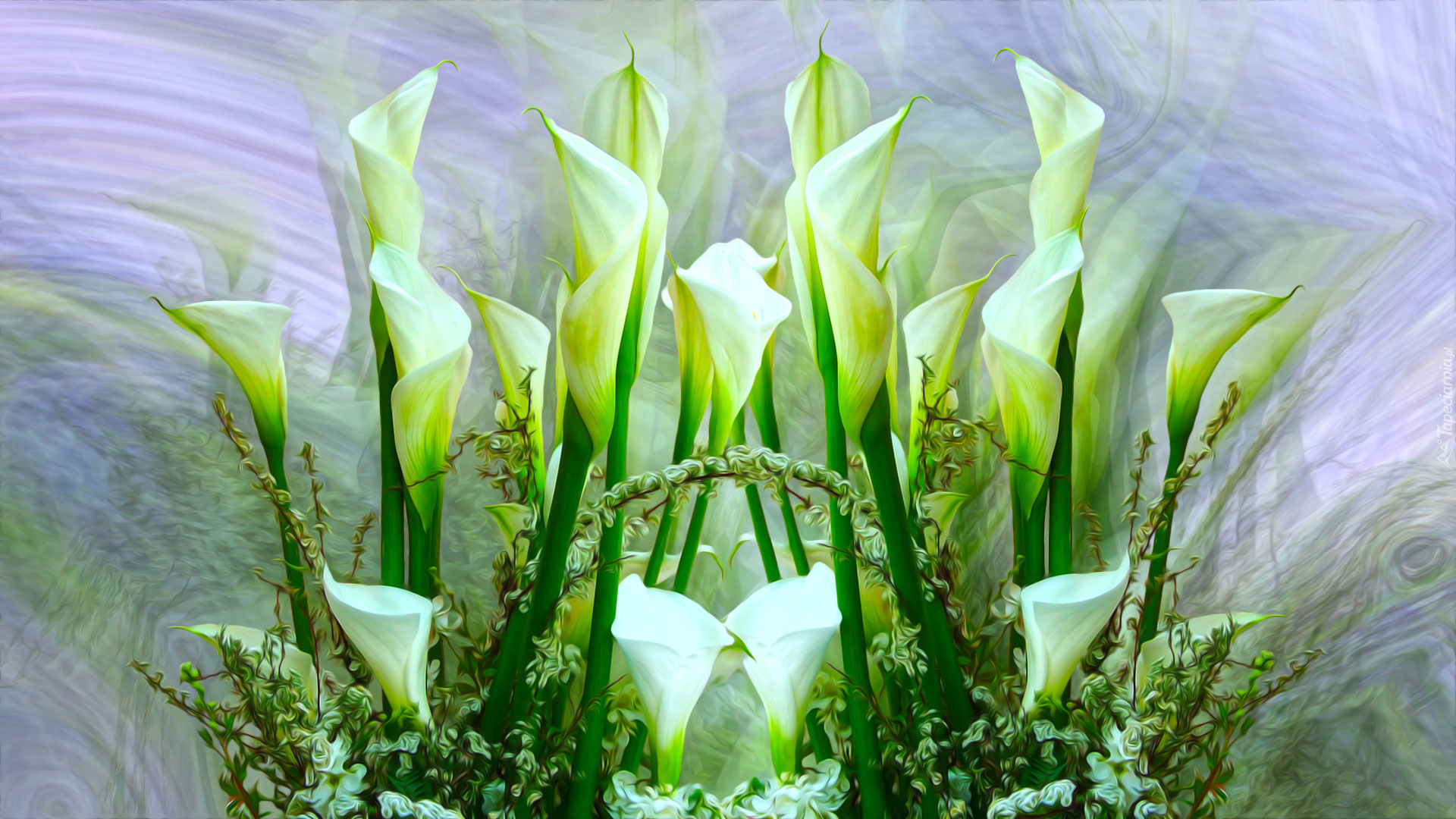 Kwiaty, Białe, Kalie, Grafika 2D