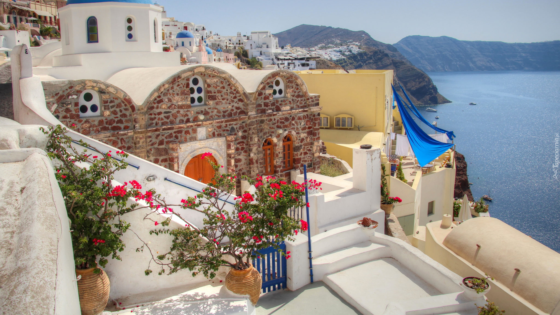 Grecja, Santorini, Morze Egejskie, Domy, Kwiaty