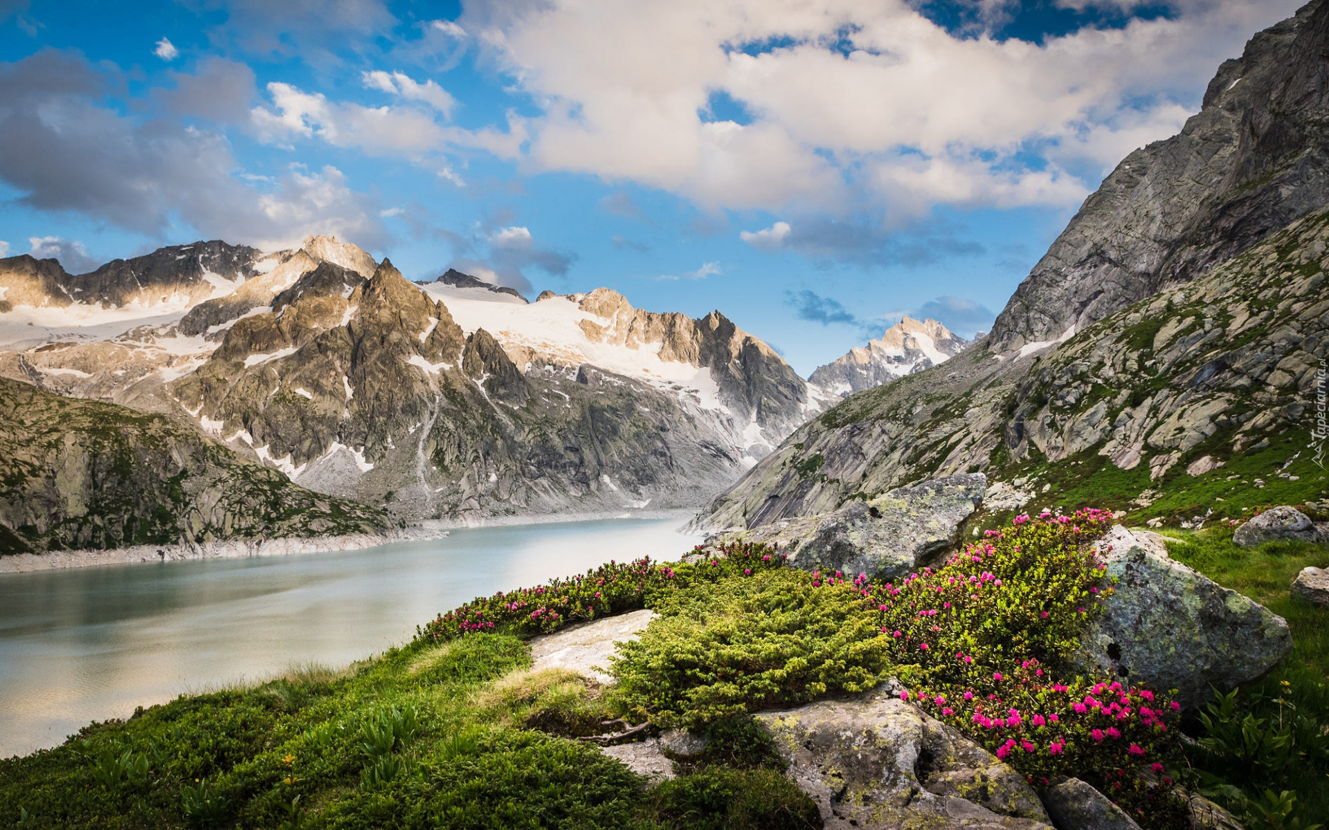 Góry, Chmury, Jezioro, Albigna Lake, Skały, Kwiaty, Rośliny, Szwajcaria