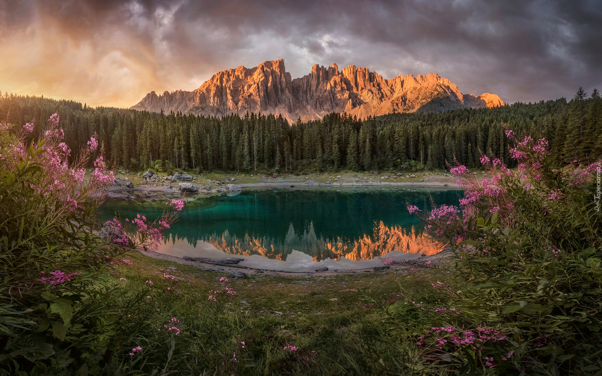 Jezioro, Lago di Carezza, Góry, Alpy, Dolomity, Południowy Tyrol, Włochy