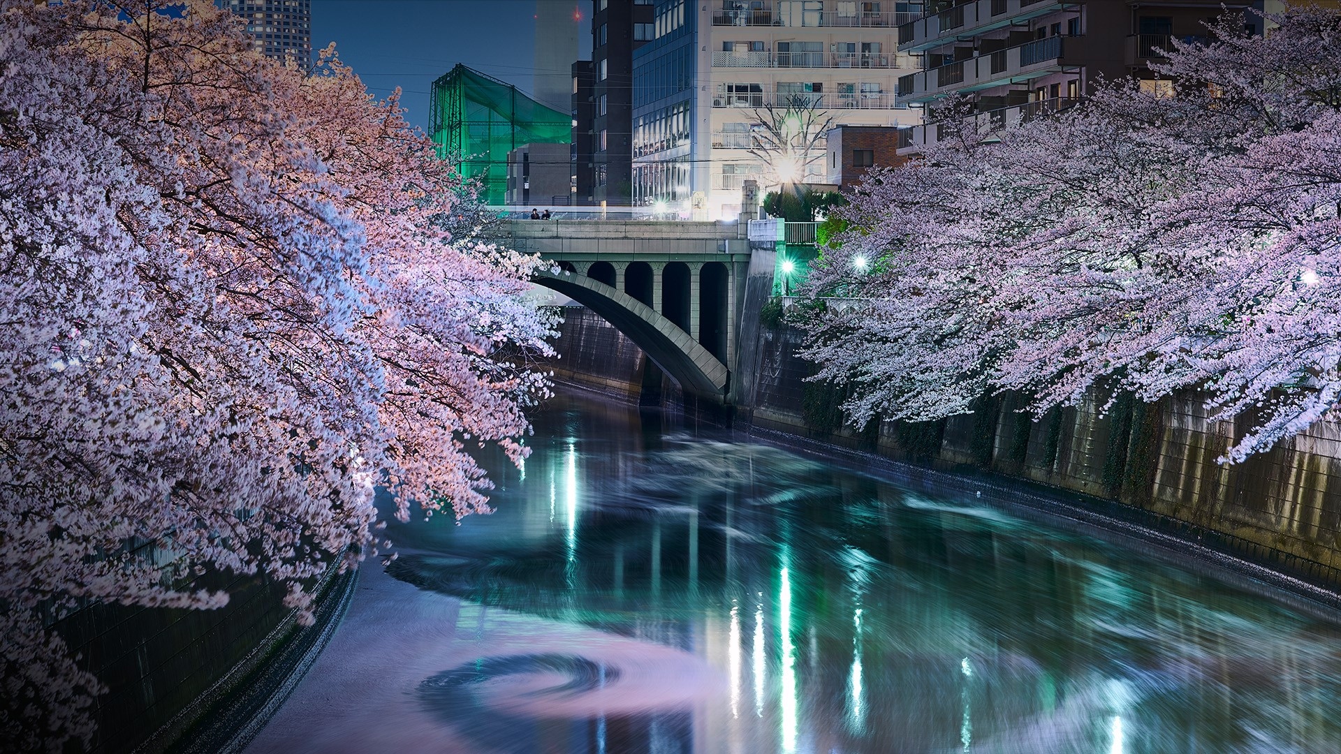 Okwiecone, Drzewa, Domy, Rzeka Meguro, Most, Tokio, Japonia