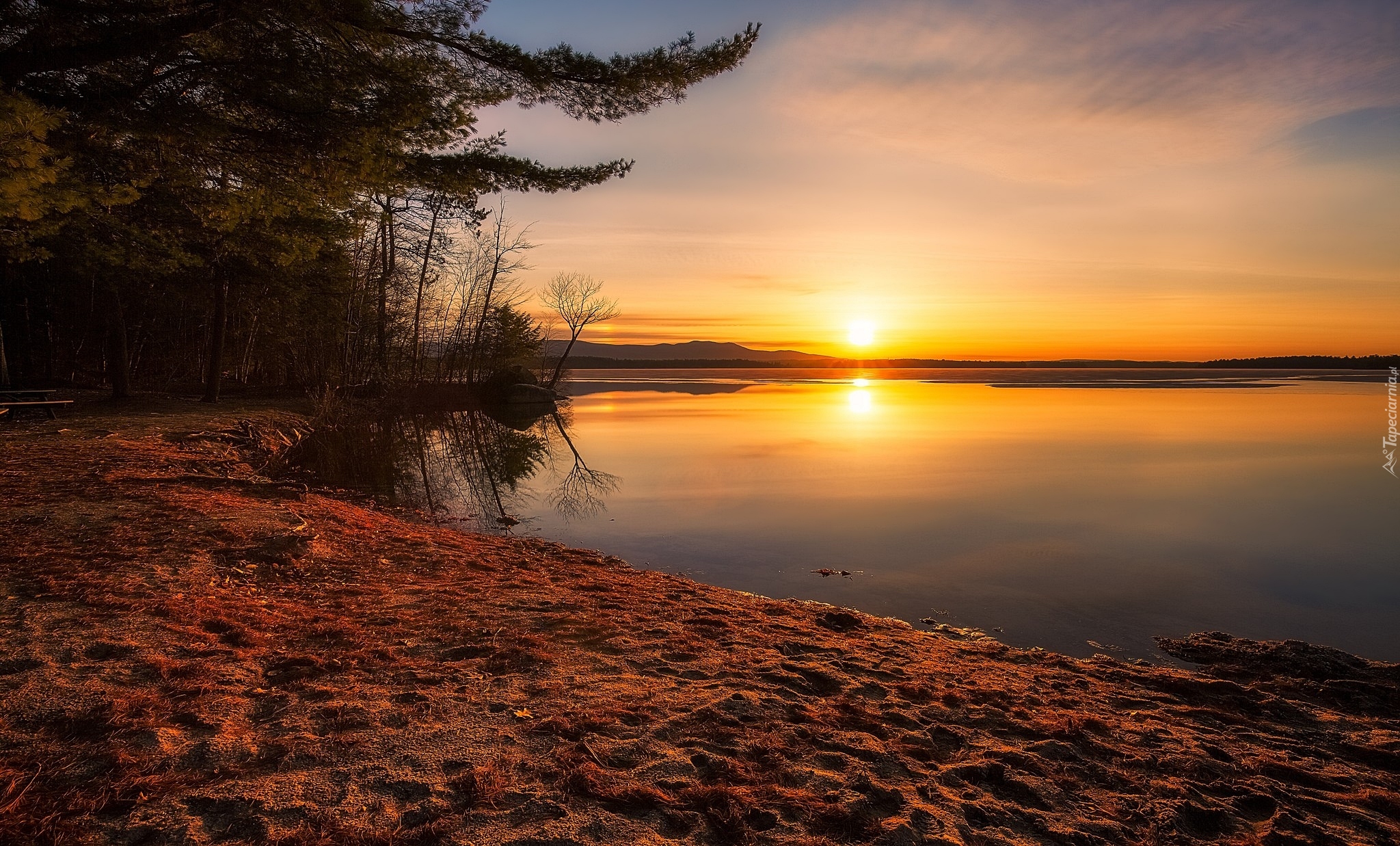 Stany Zjednoczone, Stan New Hampshire, Jezioro Lake Winnipesaukee, Plaża Leavitt Beach, Wschód słońca, Drzewa