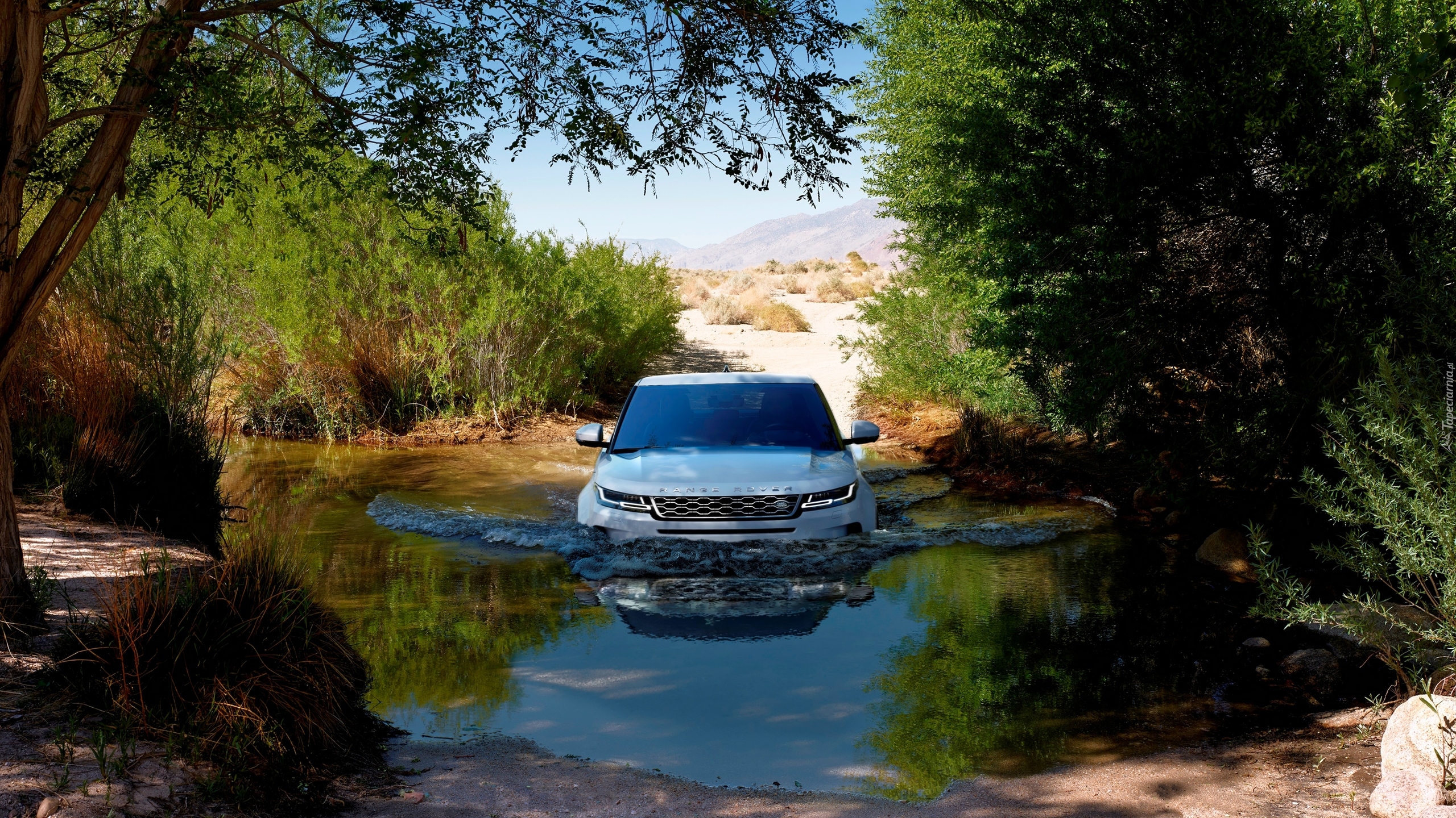 Land Rover Range Rover Evoque, Rzeka, Drzewa