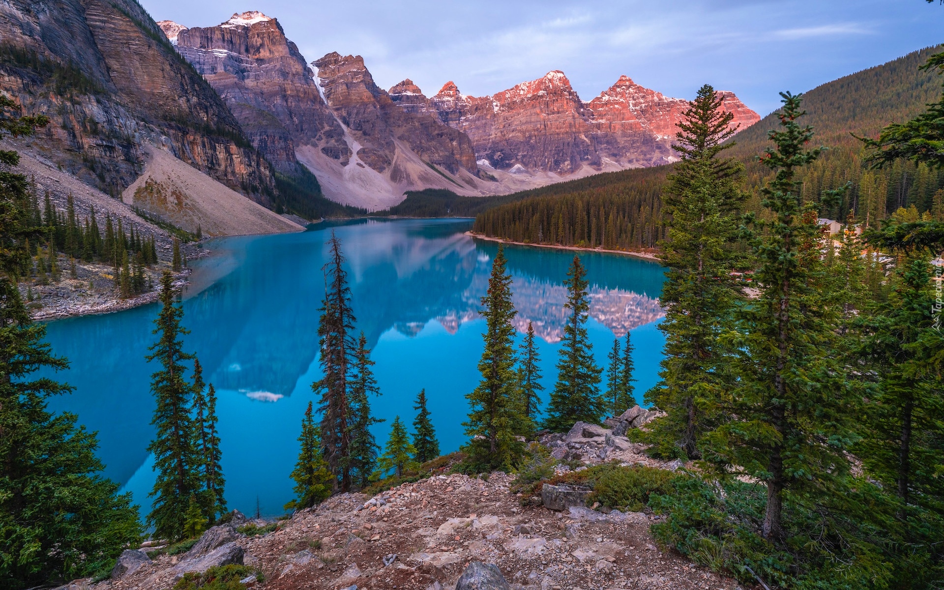 Kanada, Alberta, Park Narodowy Banff, Góry, Jezioro, Moraine Lake, Drzewa, Skała