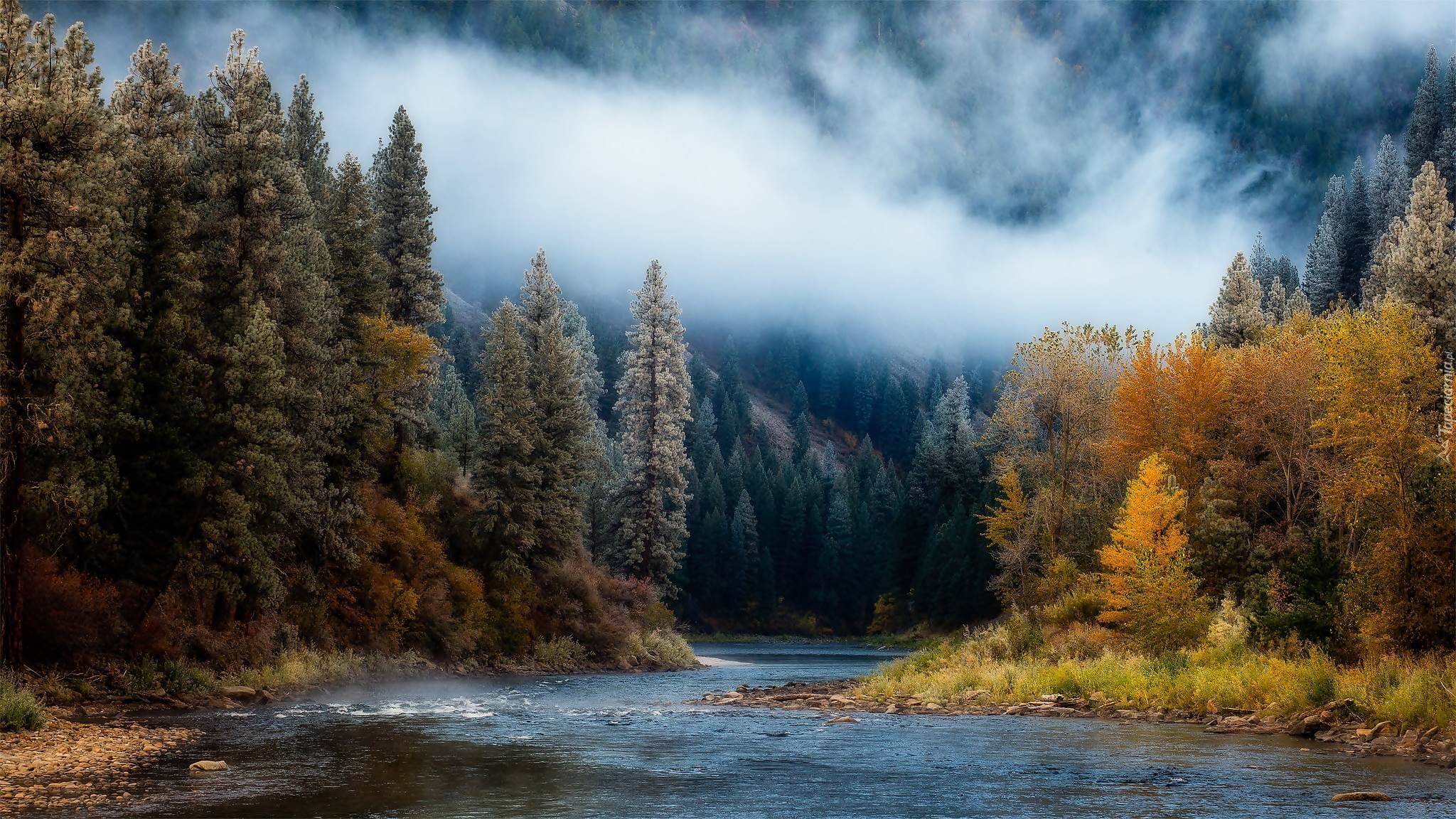 Jesień, Drzewa, Rzeka, Payette River, Mgła, Stan Idaho, Stany Zjednoczone Jesień