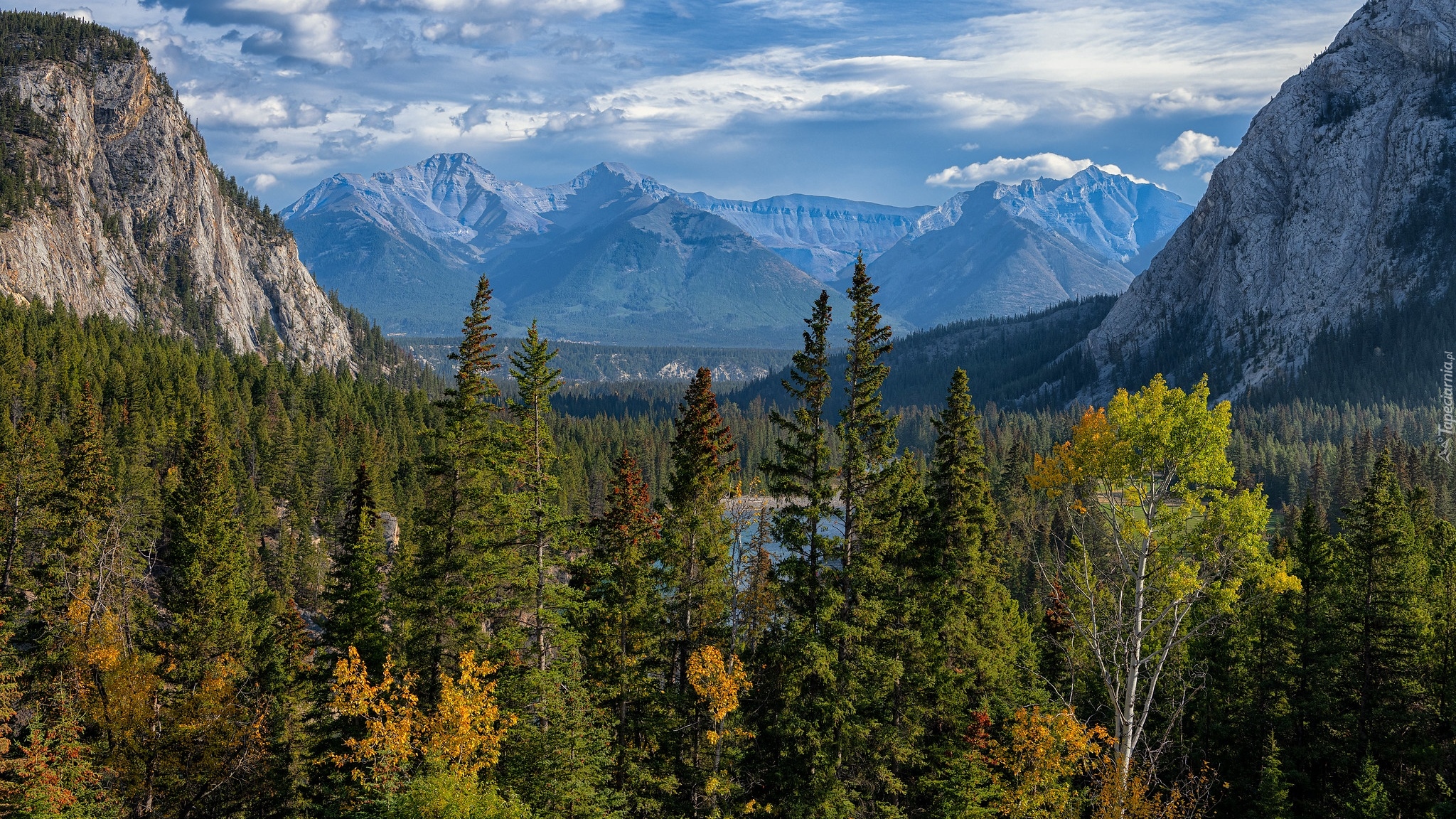 Kanada, Alberta, Park Narodowy Banff, Góry, Fairholme Range, Lasy, Drzewa, Jesień