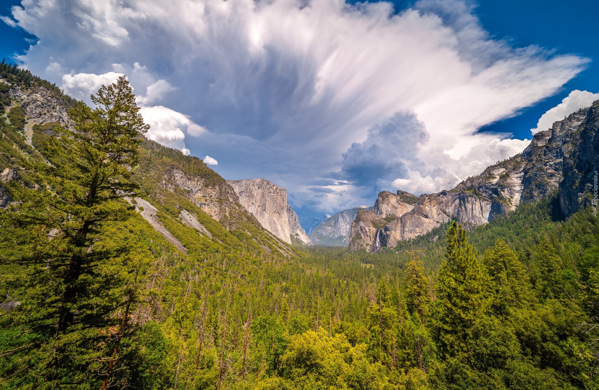 Góry, Drzewa, Las, Niebo, Chmury, Dolina, Yosemite Valley, Park Narodowy Yosemite, Kalifornia, Stany Zjednoczone