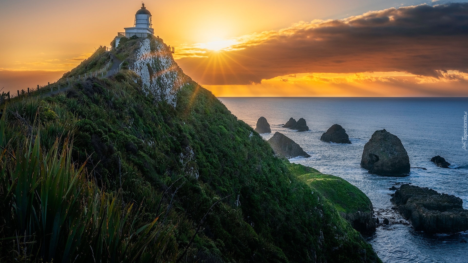 Morze, Latarnia morska, Nugget Point Lighthouse, Skały, Promienie słońca, Otago, Nowa Zelandia