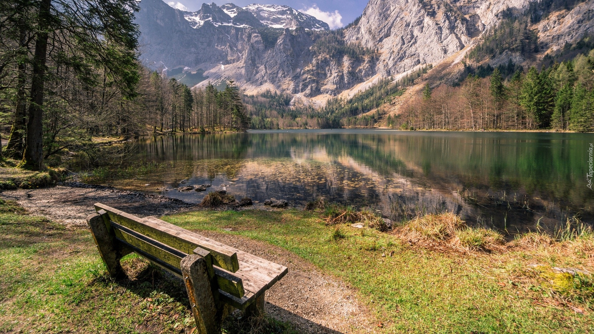 Austria, Jezioro Hintere Langbathsee, Góry Alpy, Drzewa, Ławeczka