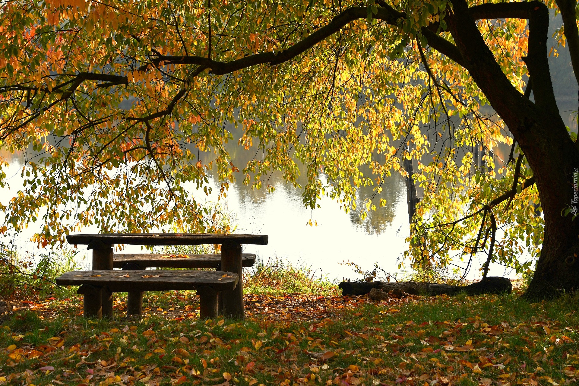 Jesień, Ławka, Drzewo, Jezioro