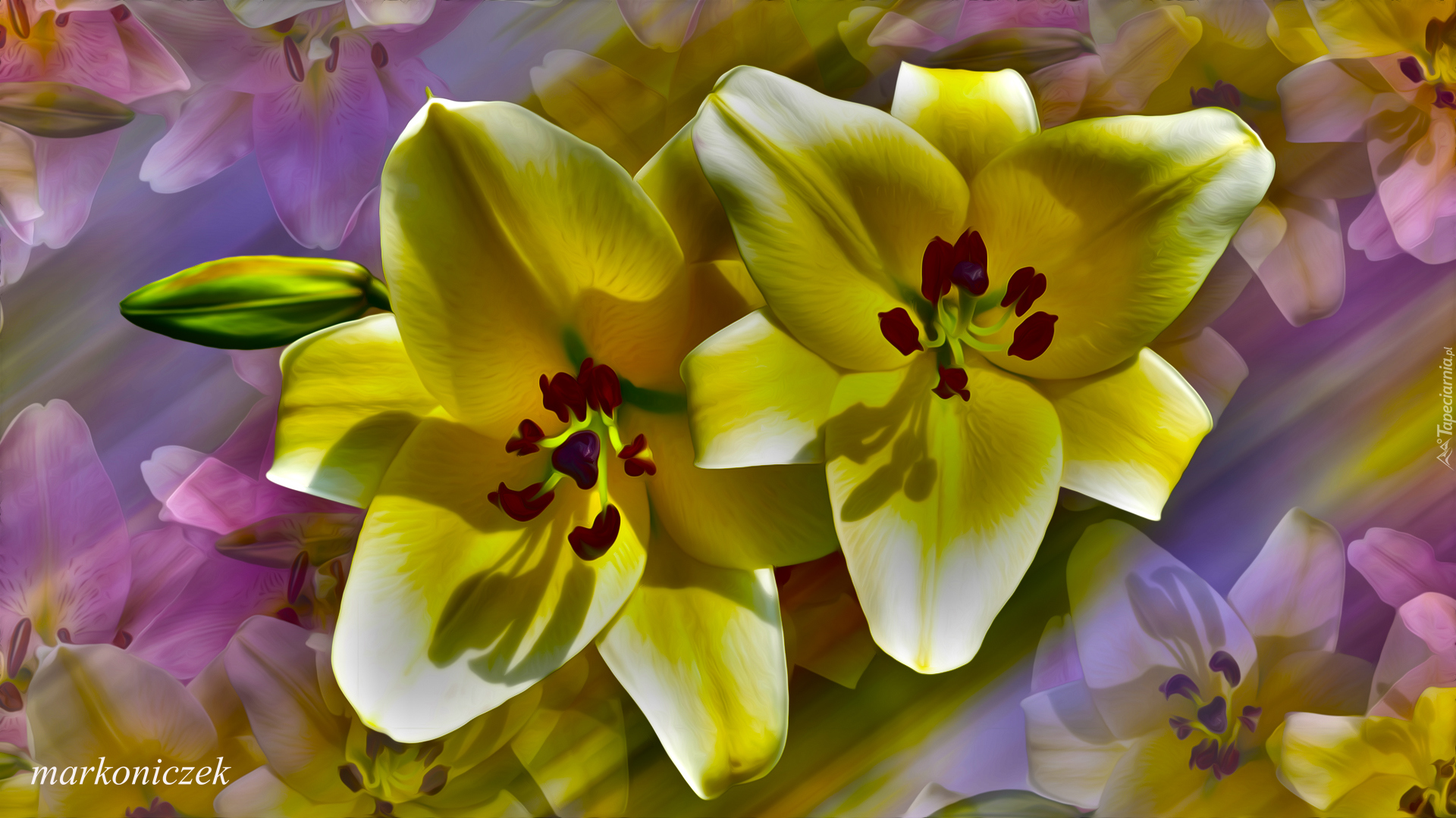 Kwiaty, Lilie, Żółte, Grafika
