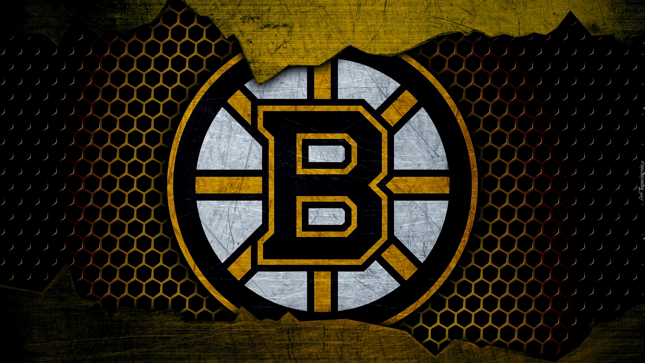 Logo, Klub hokejowy, Boston Bruins
