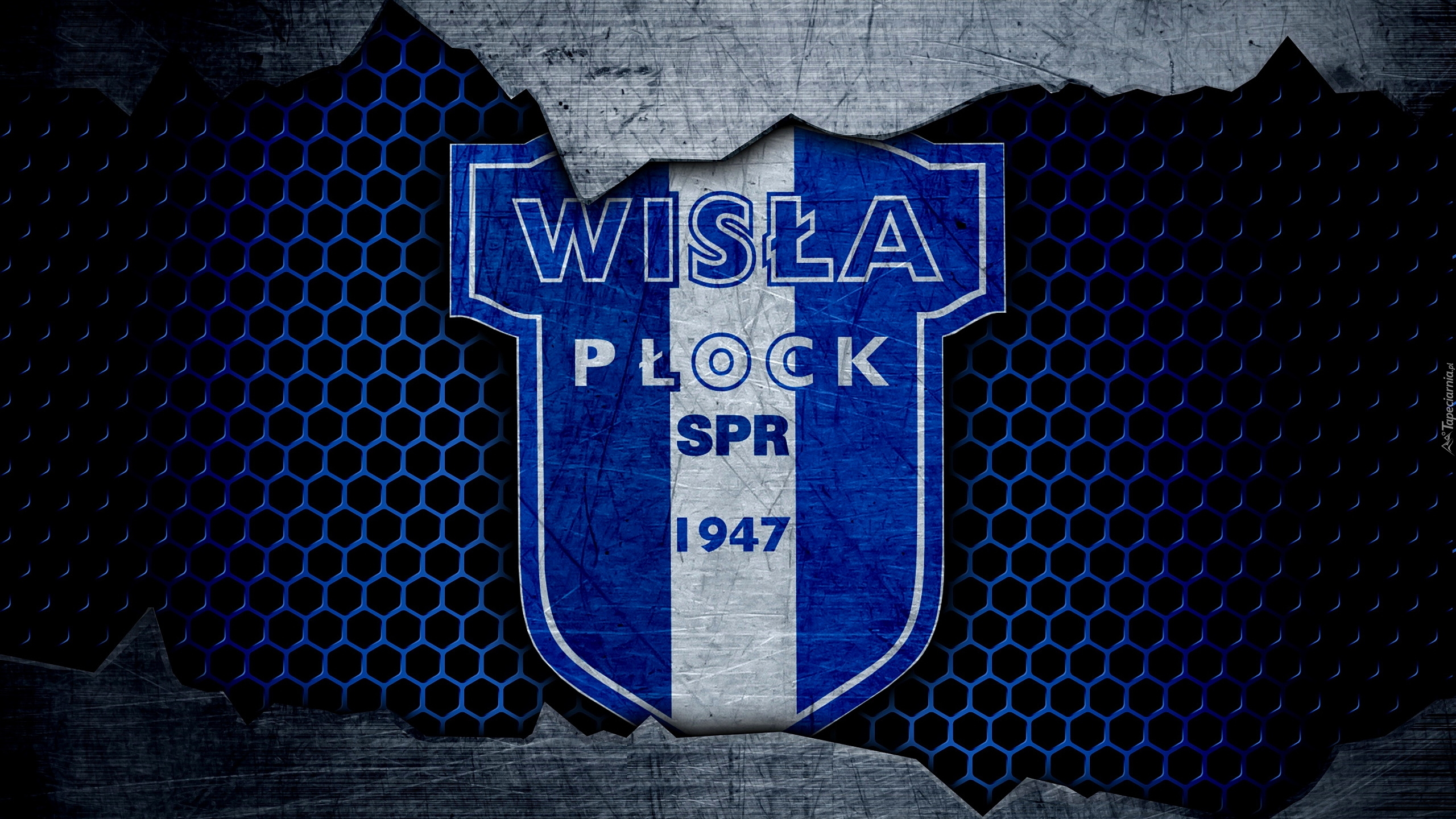 Logo, Klub piłkarski, Wisła Płock