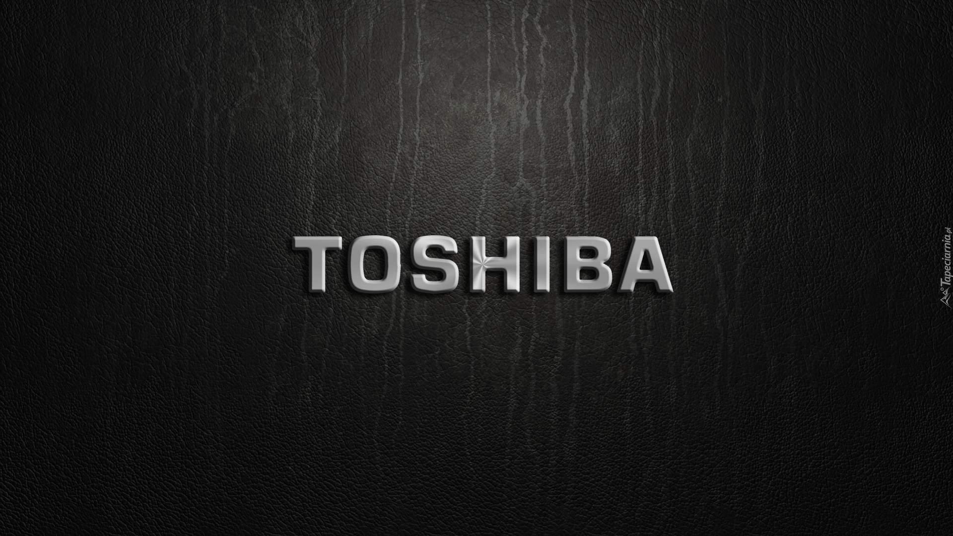 Toshiba, Logo, Napis, Grafitowe, Tło