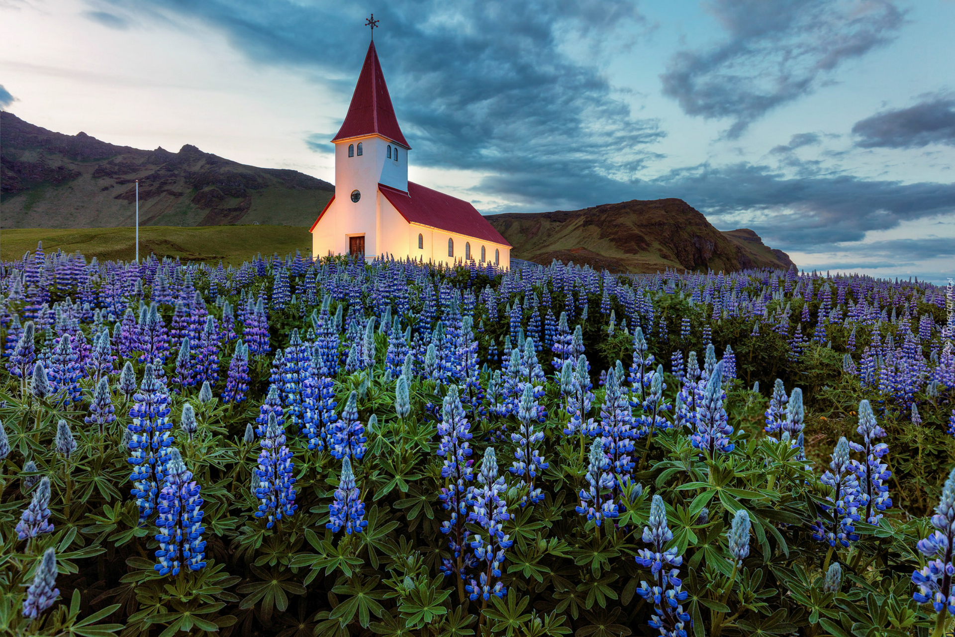 Kościół, Łąka, Łubin, Góry, Miejscowość Vik i Myrdal, Gmina Myrdalshreppur, Islandia