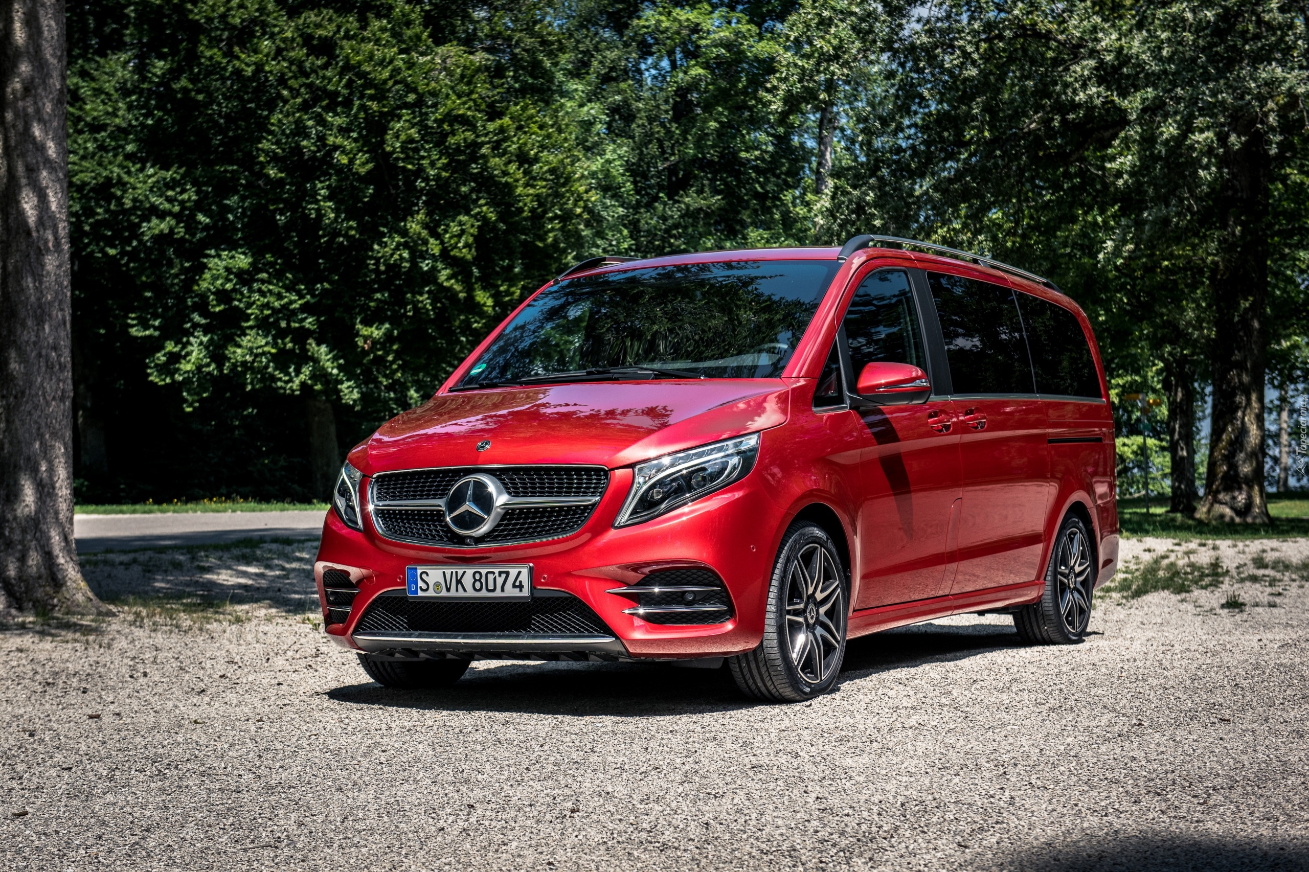 Czerwony, Mercedes-Benz V AMG Line, 2019