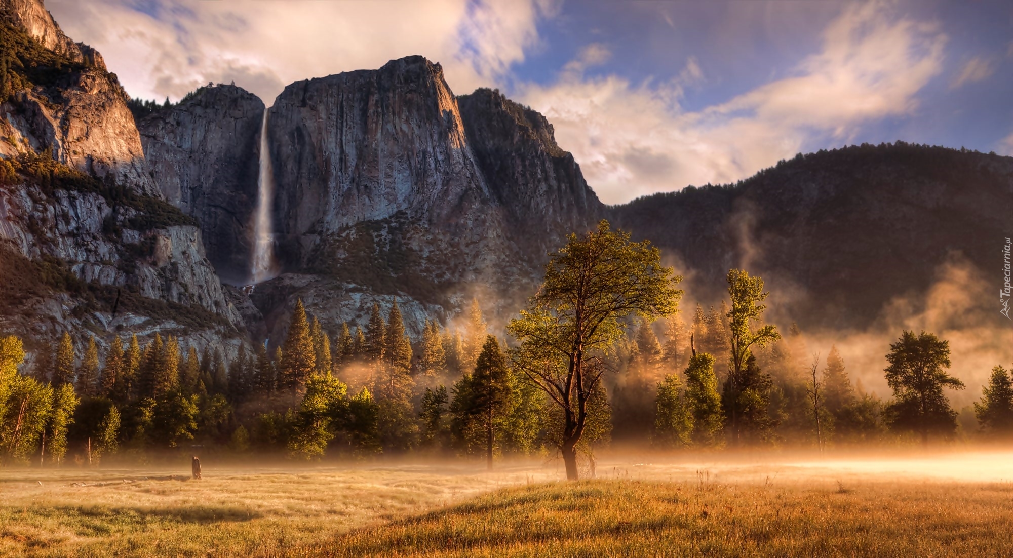 Stany Zjednoczone, Stan Kalifornia, Park Narodowy Yosemite, Skały, Drzewa, Góry, Mgła