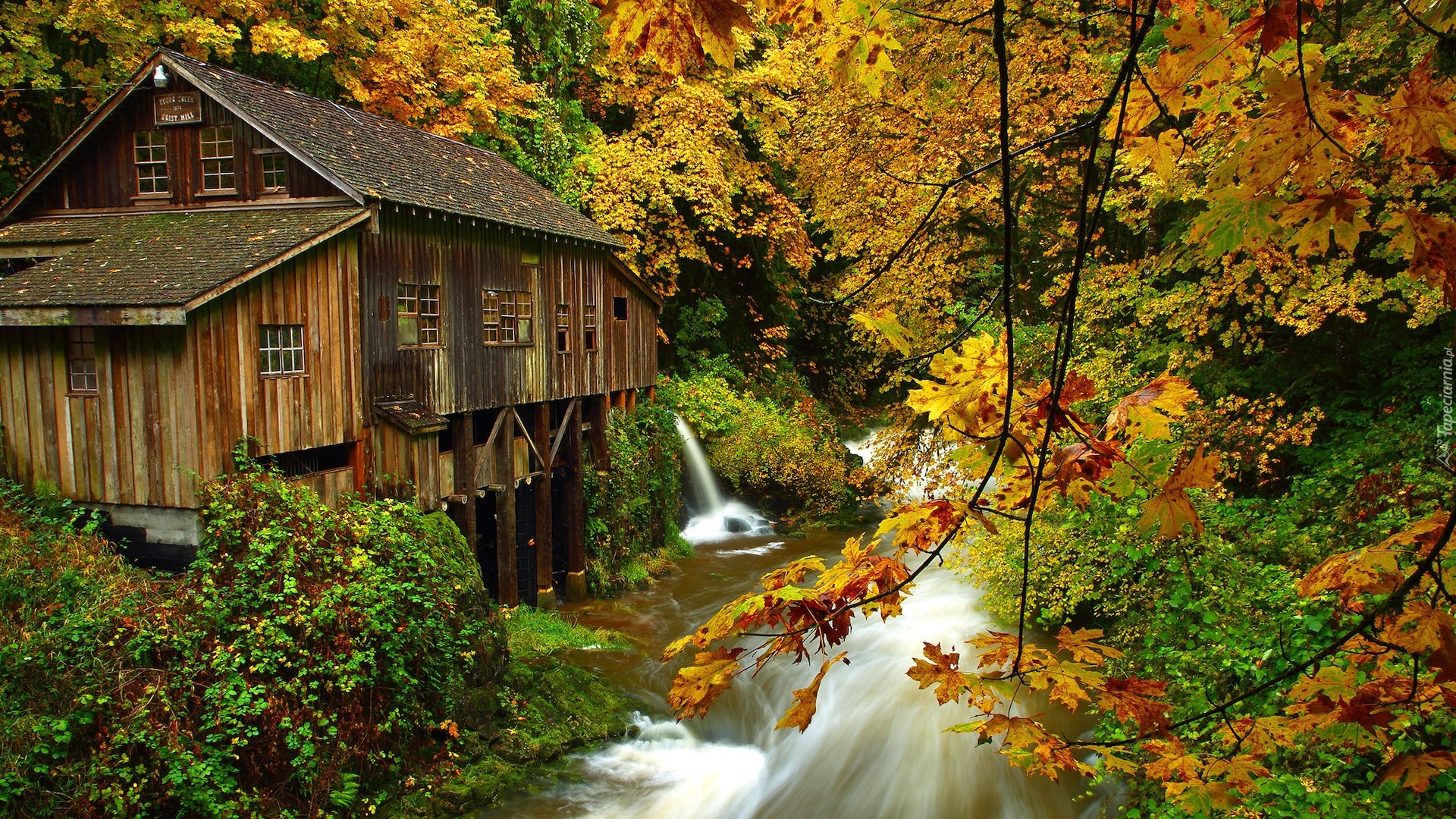 Jesień, Młyn, Cedar Creek Grist Mill, Rzeka, Drzewa, Las, Woodland, Stan Waszyngton, Stany Zjednoczone