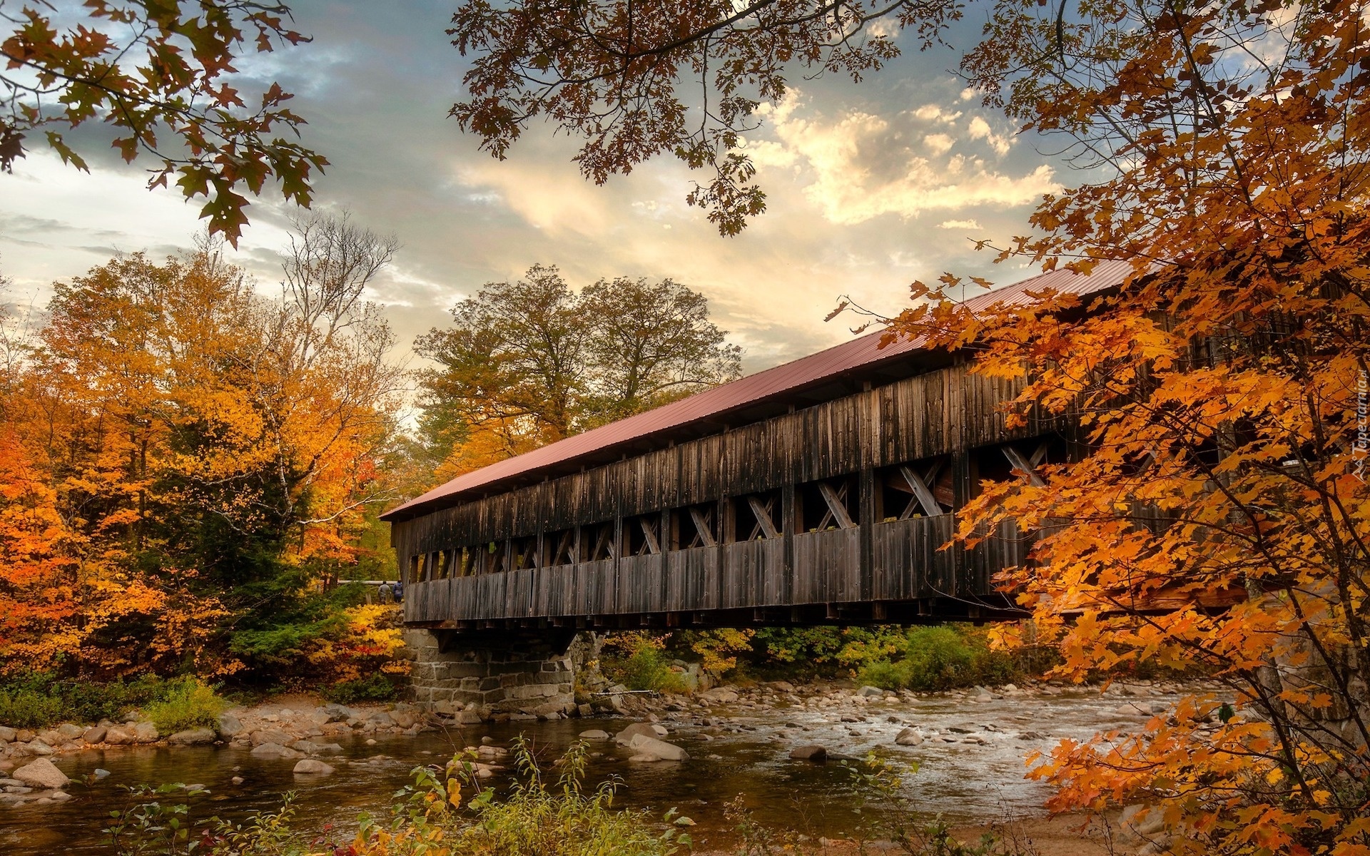Stany Zjednoczone, Stan New Hampshire, Rzeka, Most kryty, Albany Covered Bridge, Drzewa