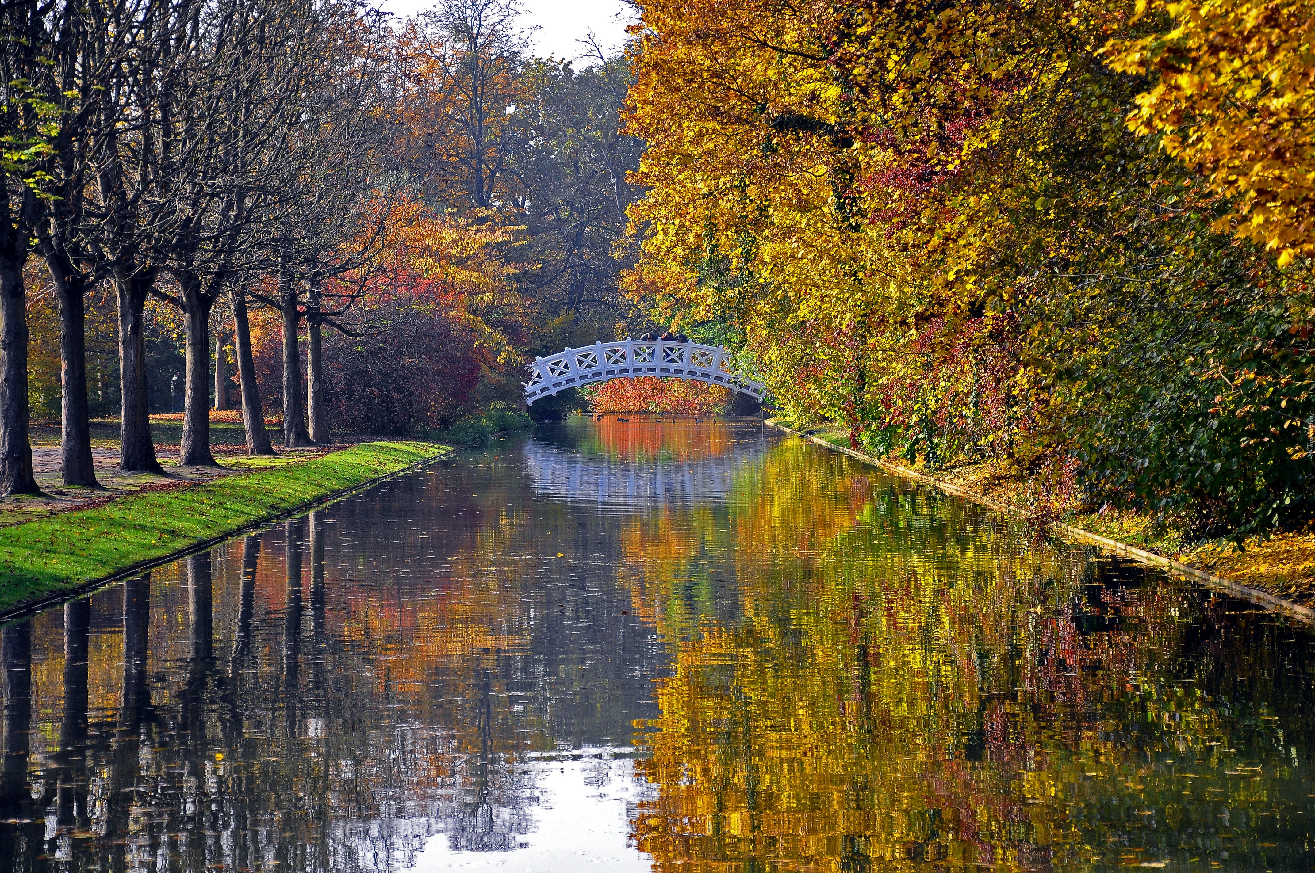 Jesień, Rzeka, Most, Drzewa