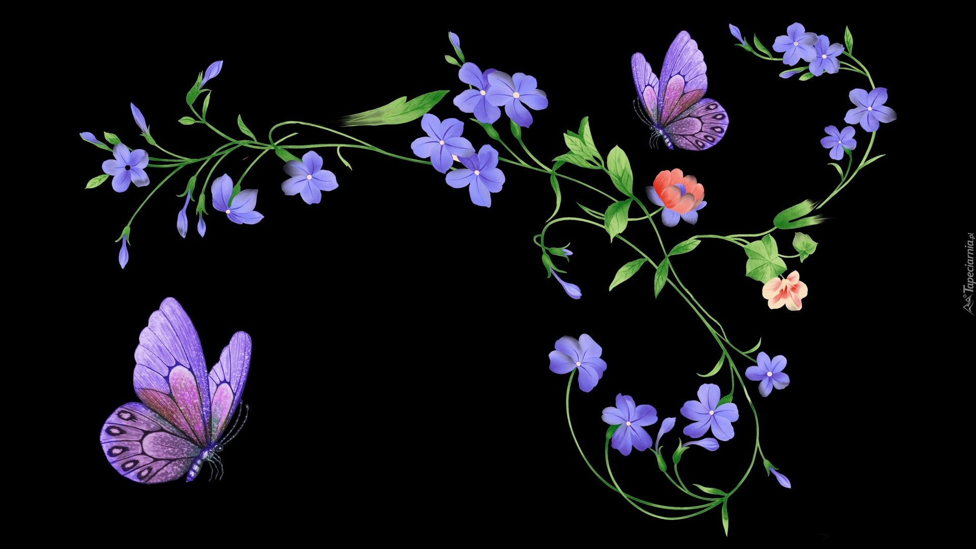 Kwiaty, Motylki, Grafika 2D