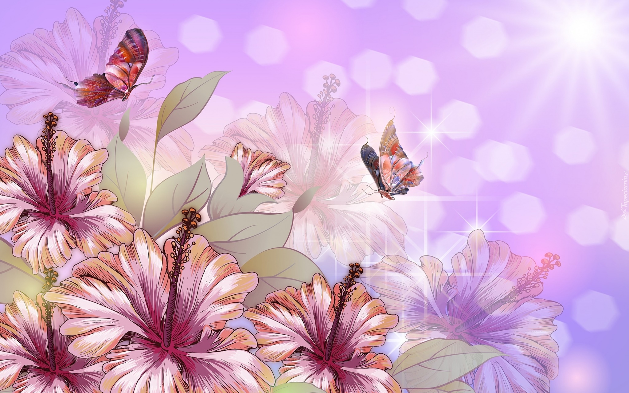 Kwiaty, Hibiskus, Motyle, Grafika 2D