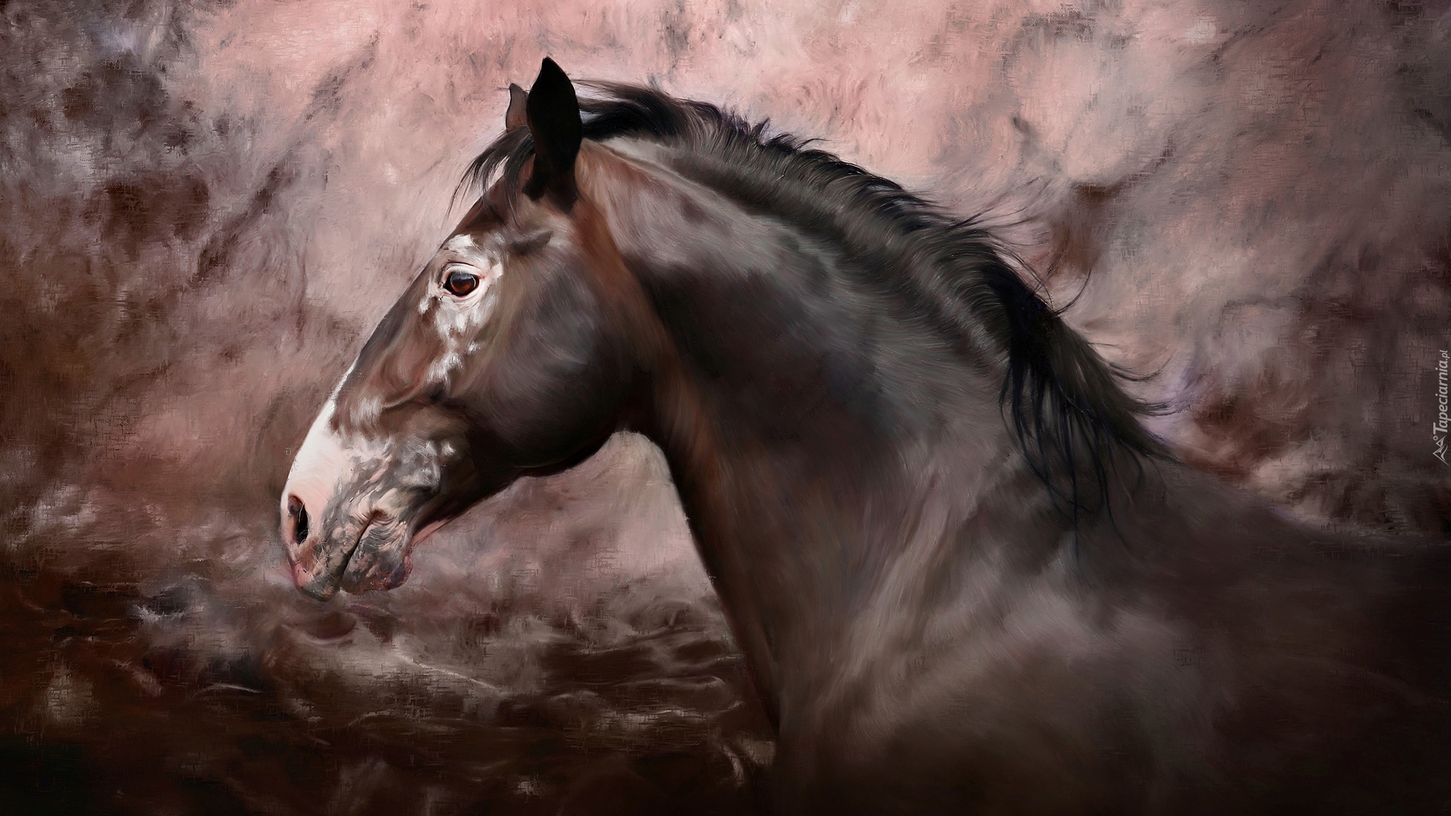 Koń, Malarstwo, Obraz