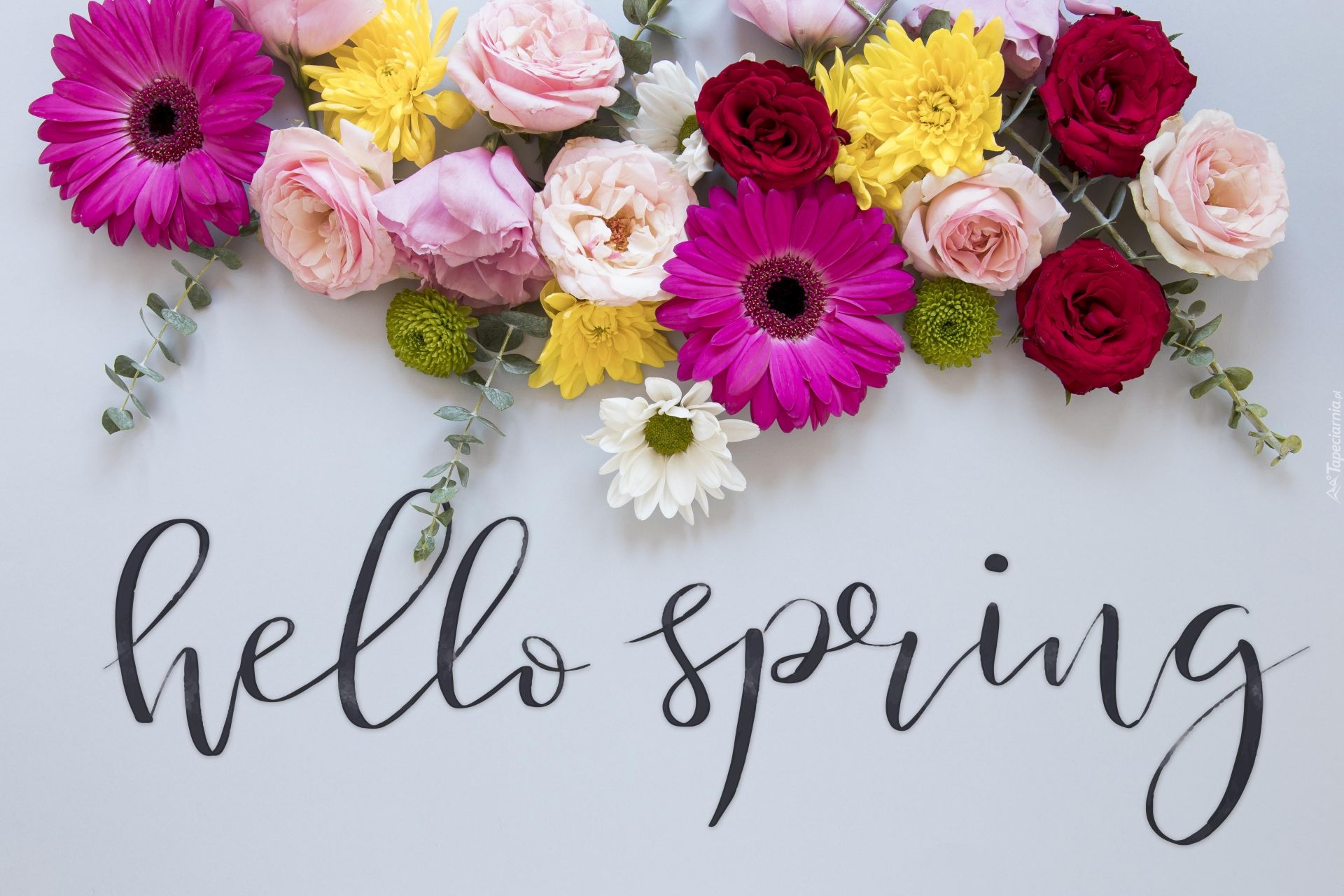 Wiosna, Kolorowe, Kwiaty, Napis, Hello Spring, Jasne, Tło