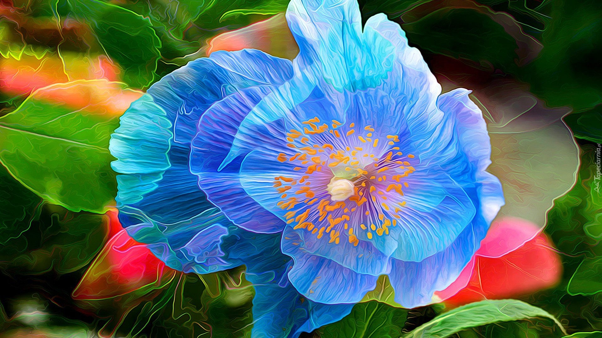 Niebieski, Kwiat, Liście, Grafika