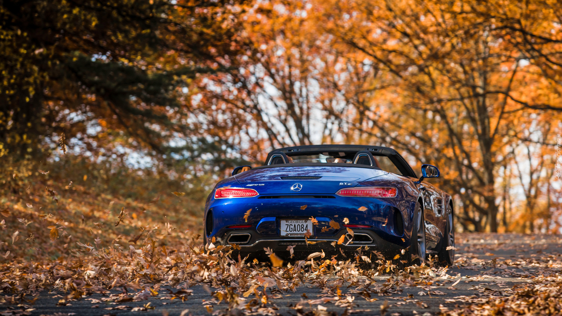 Niebieski, Mercedes AMG GT C, Roadster, 2018