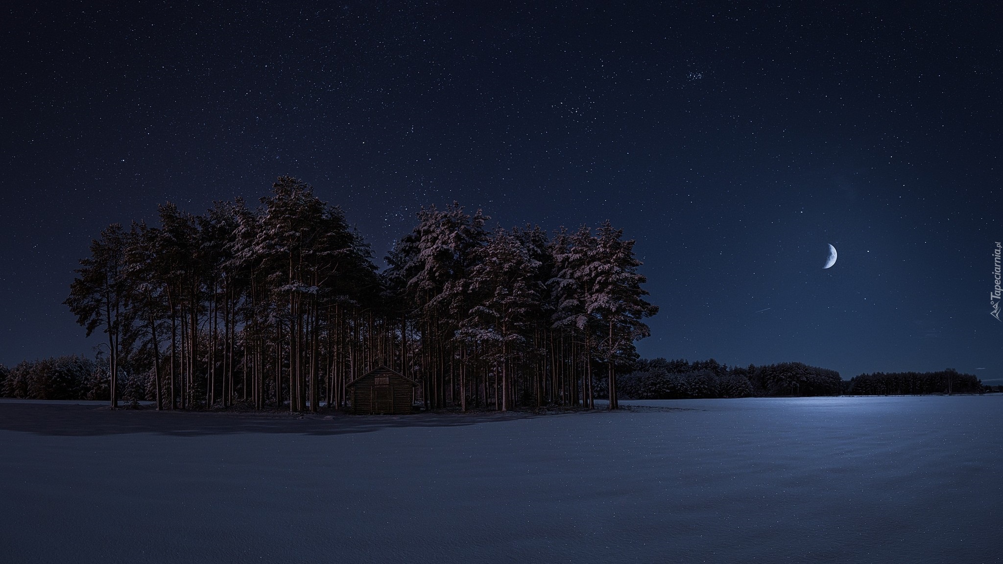 Noc, Zima, Drzewa, Księżyc, Gwiazdy