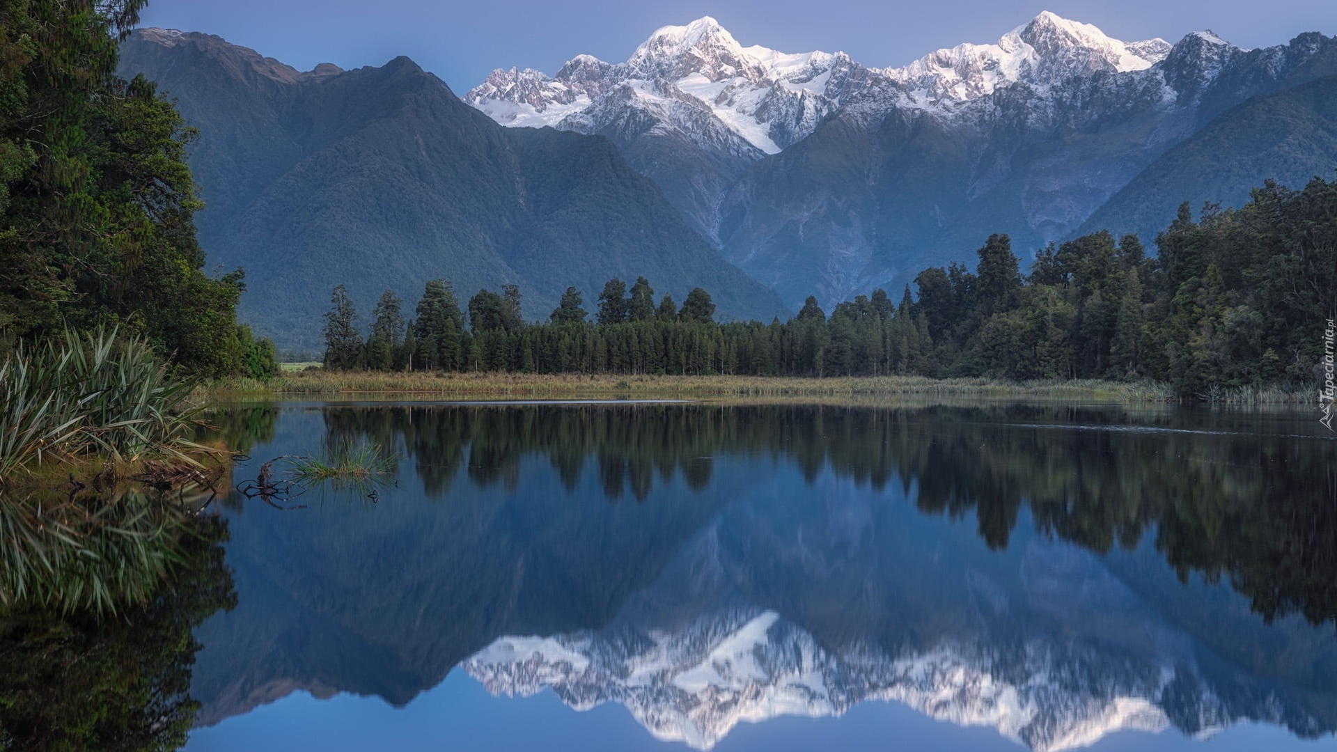 Park Narodowy Góry Cooka, Góry, Drzewa, Odbicie, Jezioro Matheson, Góra Cooka, Nowa Zelandia