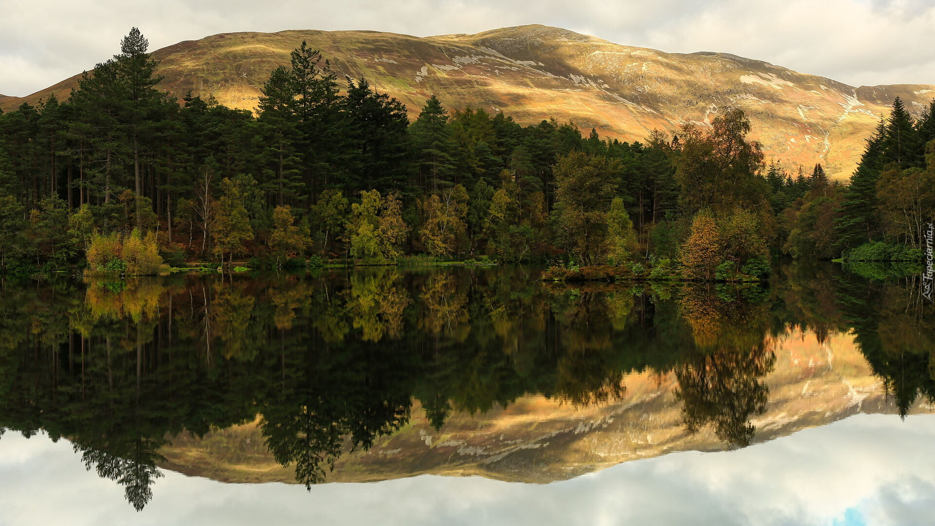 Góry, Jezioro, Loch Leven, Drzewa, Odbicie, Lasy, Glencoe Lochan, Szkocja