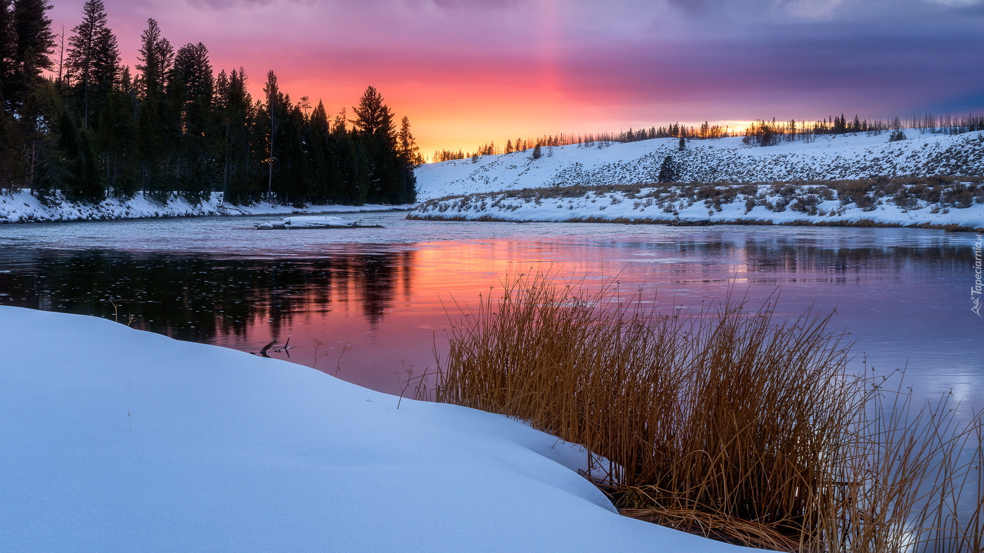 Zachód słońca, Rzeka, Zima, Drzewa, Park Narodowy Yellowstone, Wyoming, Stany Zjednoczone