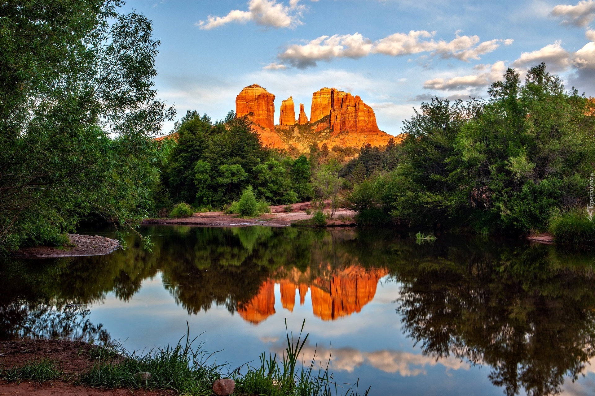 Cathedral Rock, Skały, Odbicie, Rzeka, Oak Creek, Drzewa, Sedona, Arizona, Stany Zjednoczone