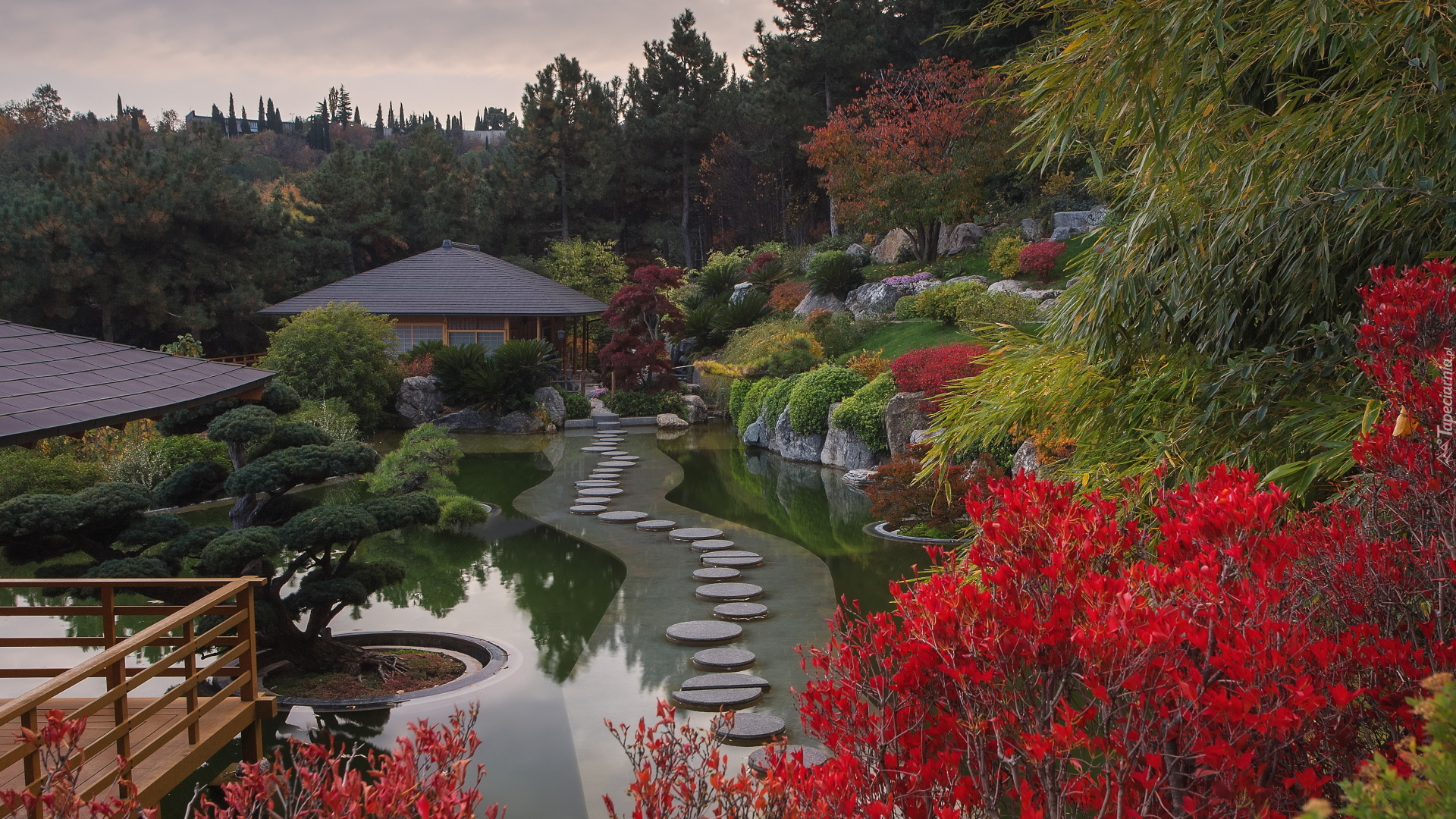 Ogród japoński, Staw, Rośliny, Park Ayvazovskiy, Partenit, Krym