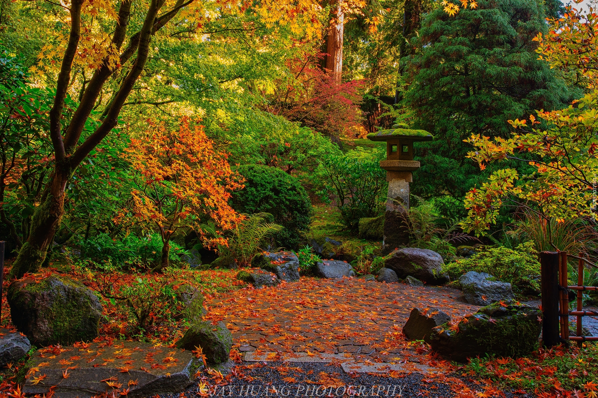 Ogród japoński, Drzewa, Krzewy, Jesień, Portland Japanese Garden, Portland, Oregon, Stany Zjednoczone