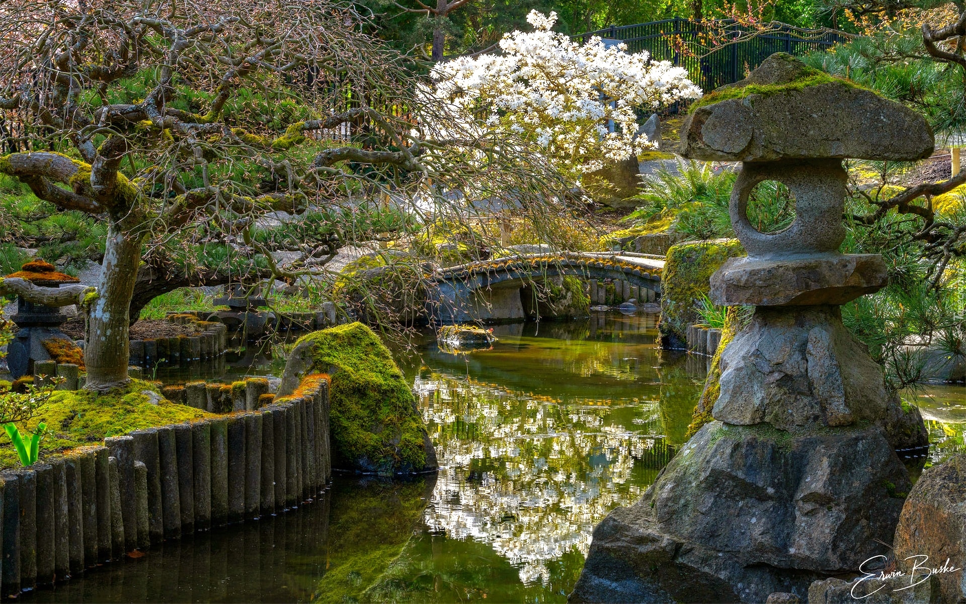 Ogród japoński, Drzewa, Kwiaty, Krzewy, Kamienie