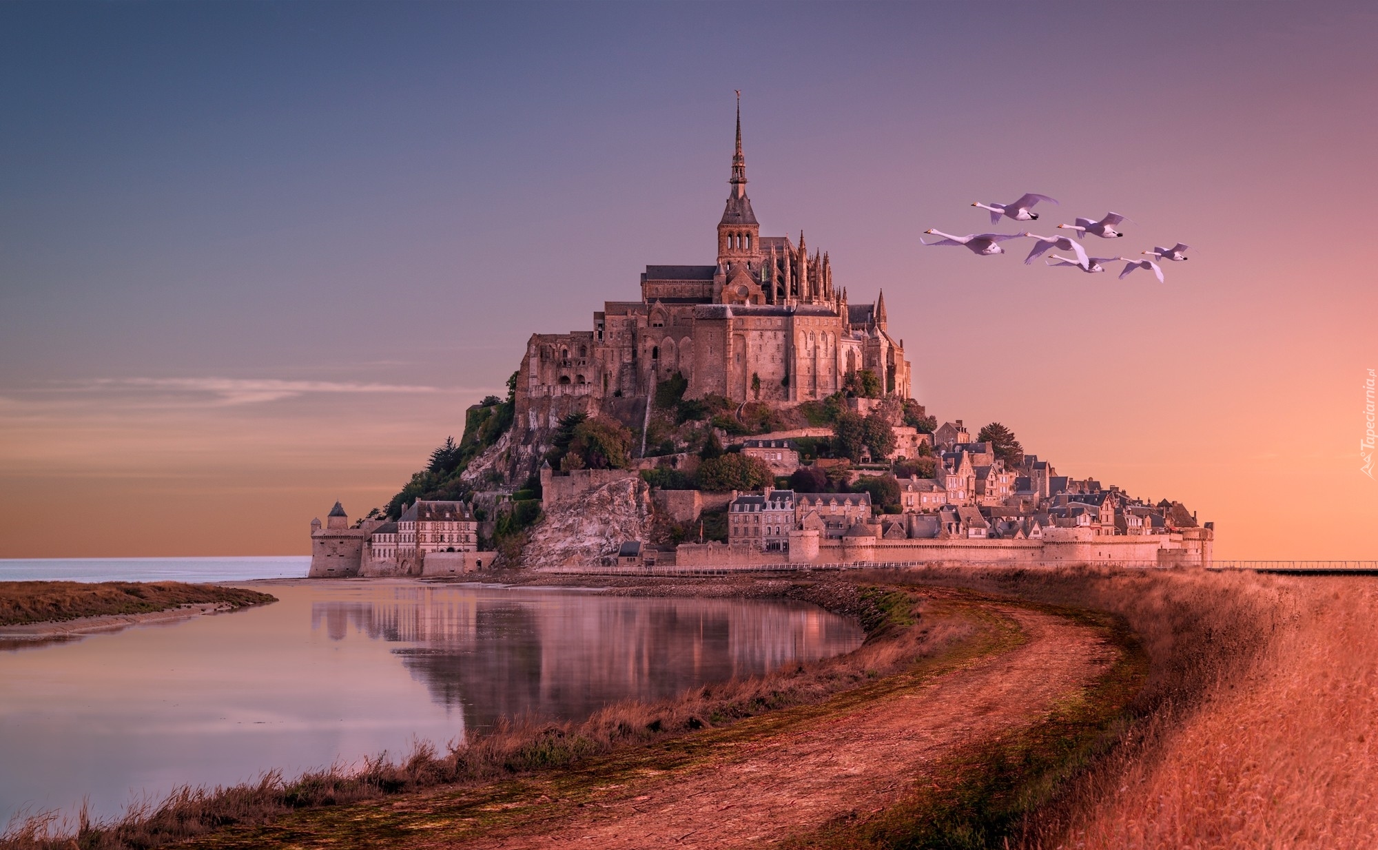 Francja, Wyspa Mont Saint-Michel, Zatoka Wzgórza Świętego Michała, Opactwo św. Michała Archanioła, Morze, Ptaki